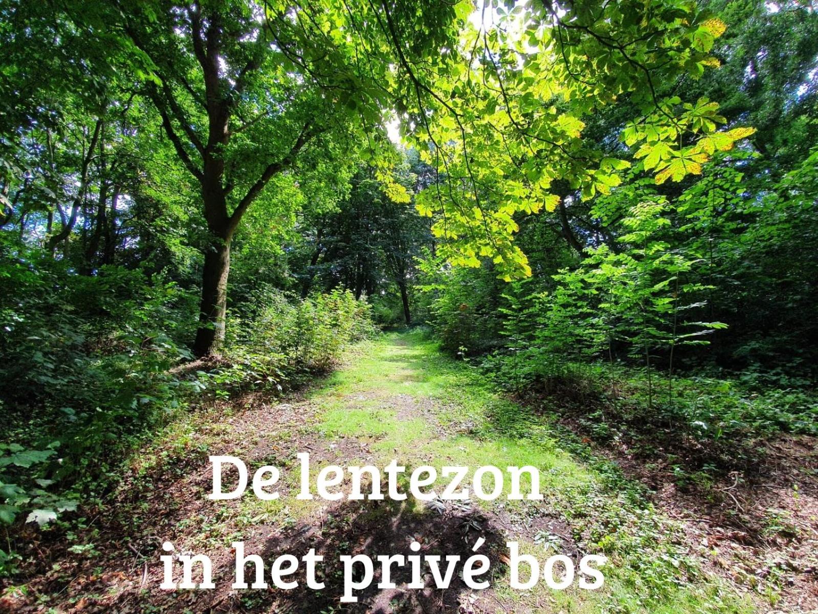 Kwadijkerbos