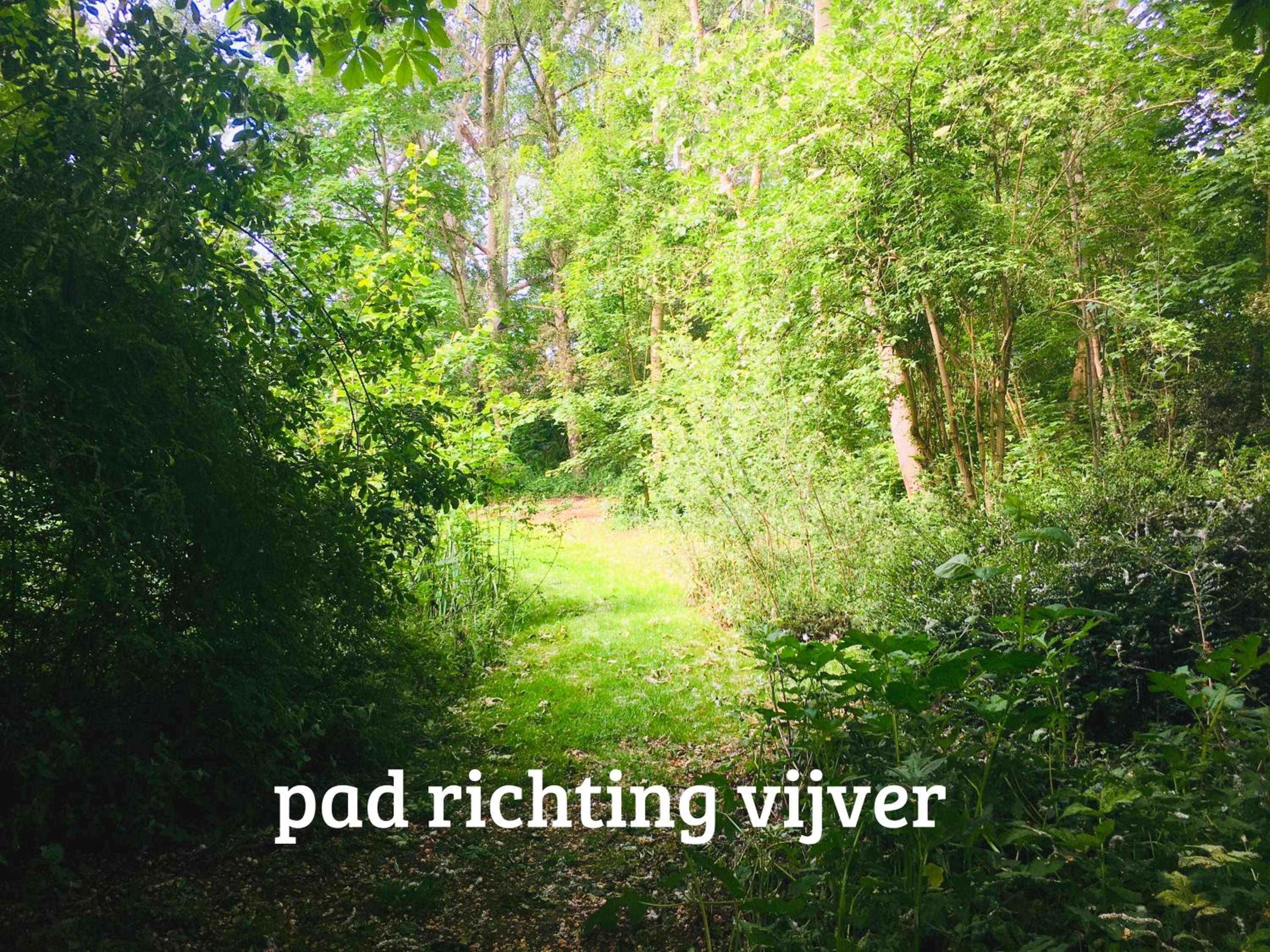 Kwadijkerbos