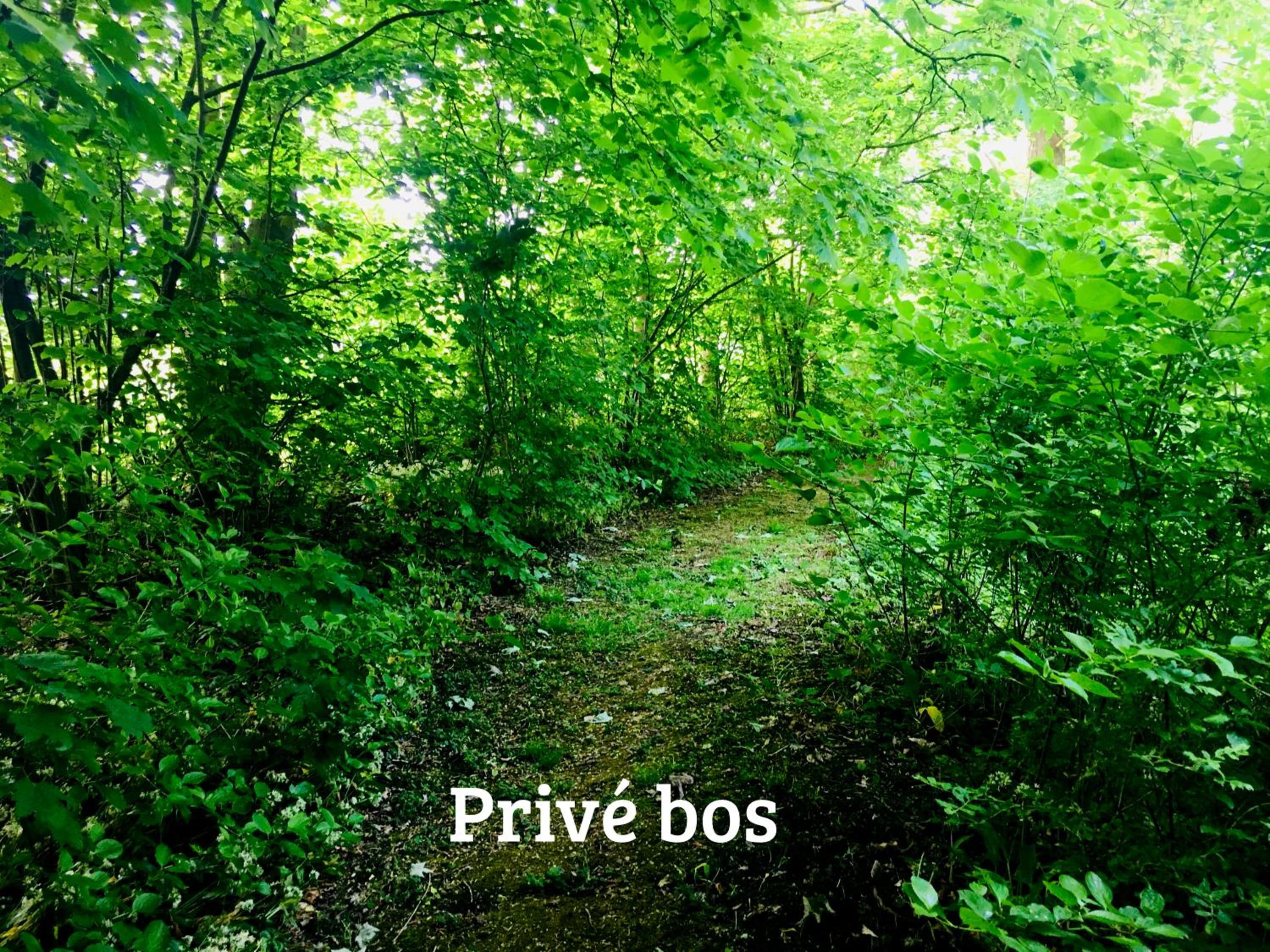 Kwadijkerbos