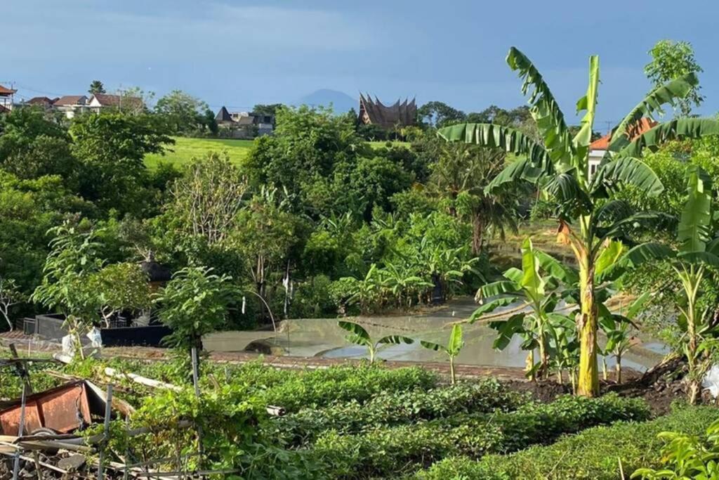 The Secret of Canggu by Love is Simple view 5