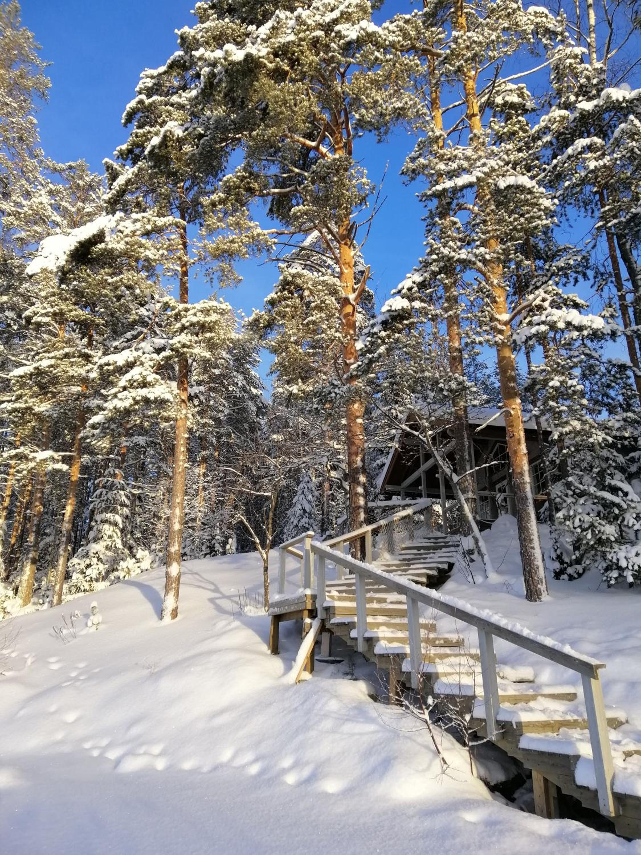 Vuori Camp by Saimaa view 4