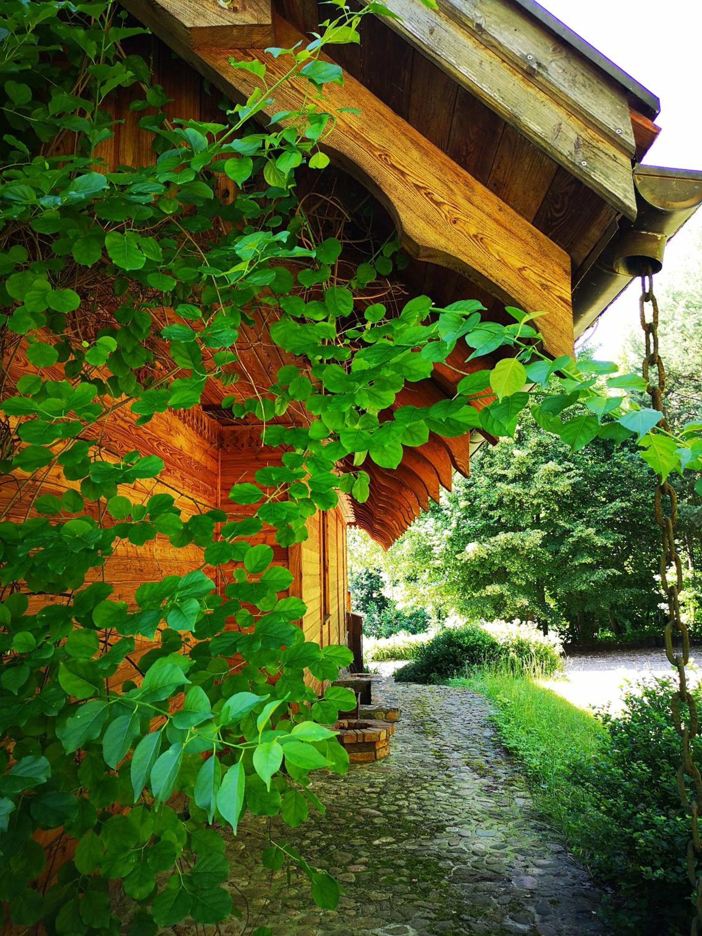 Photo 9