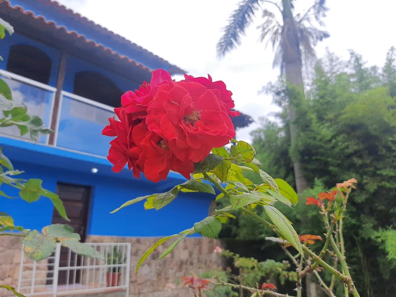 Casa da Tuca