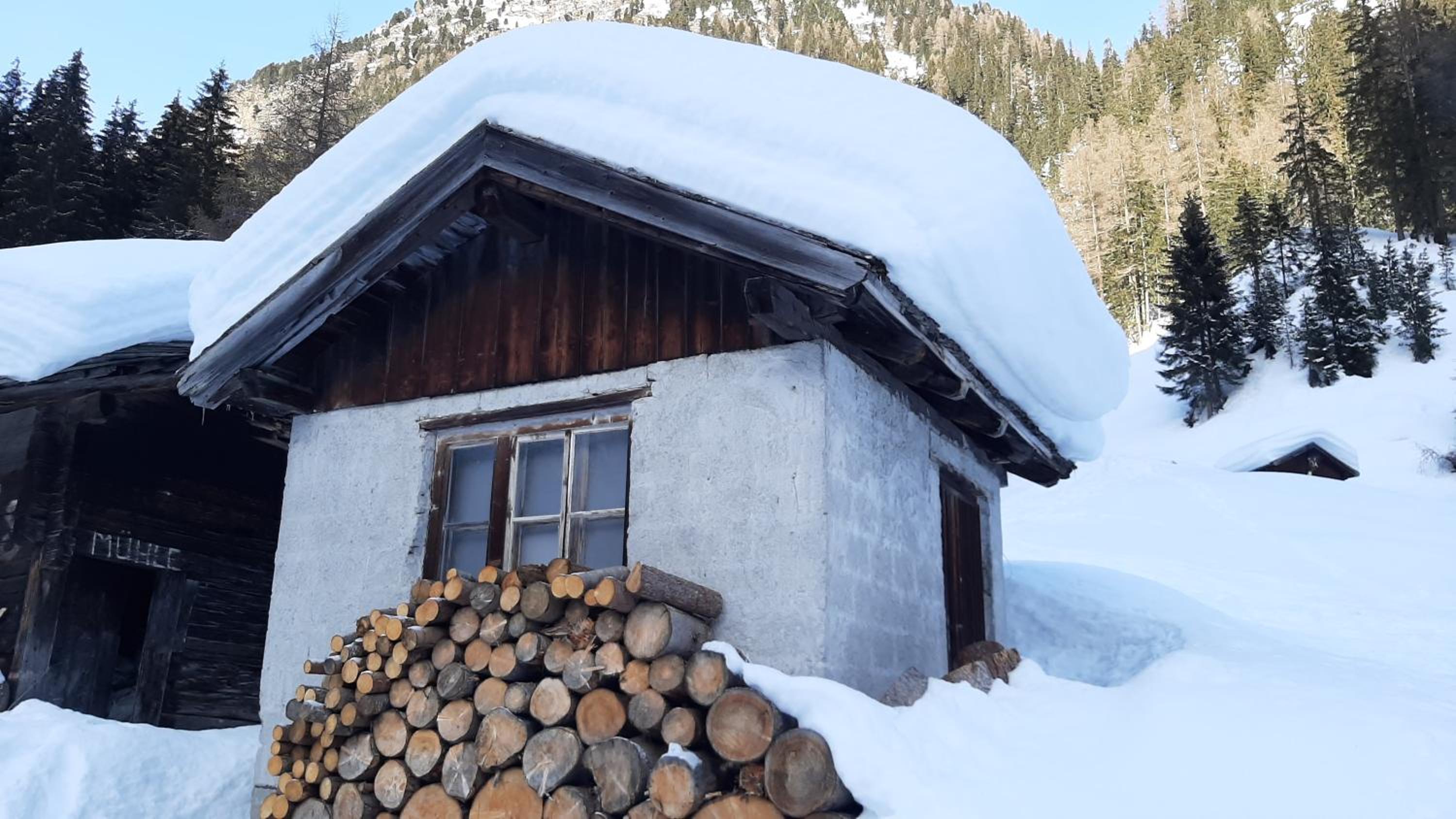 Pension Fürhapter mit Bio- Bauernhof