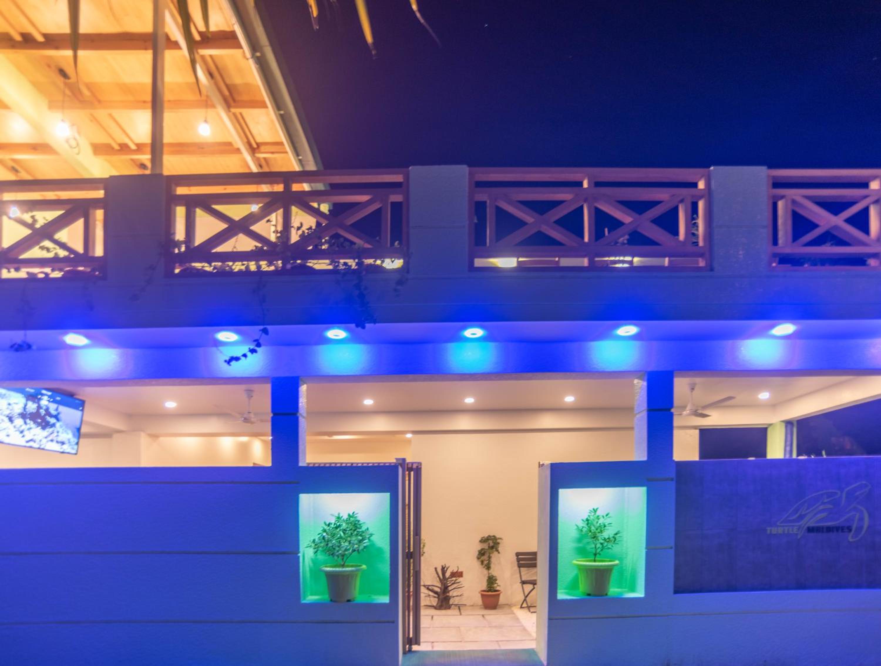 Turtle Maldives - Your Gateway to the Beach & Marine Adventures Await!