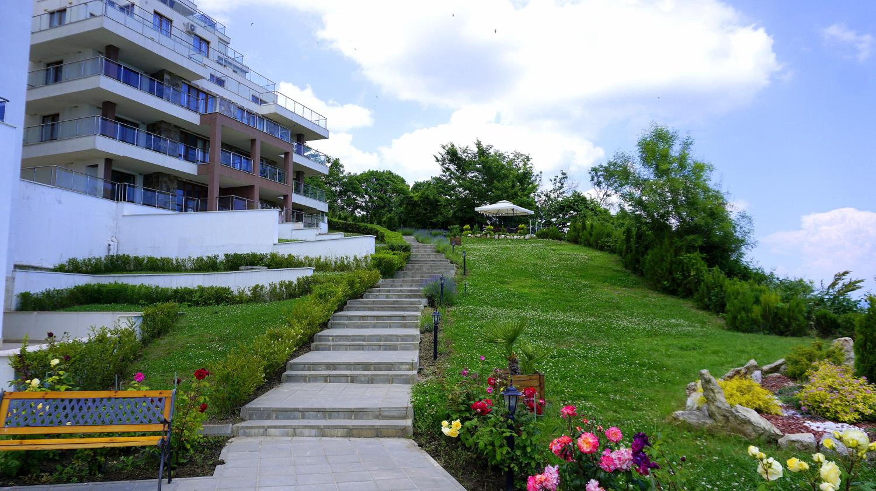 Photo 15