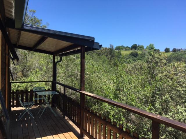 Loerie Mountain Cabin view 3
