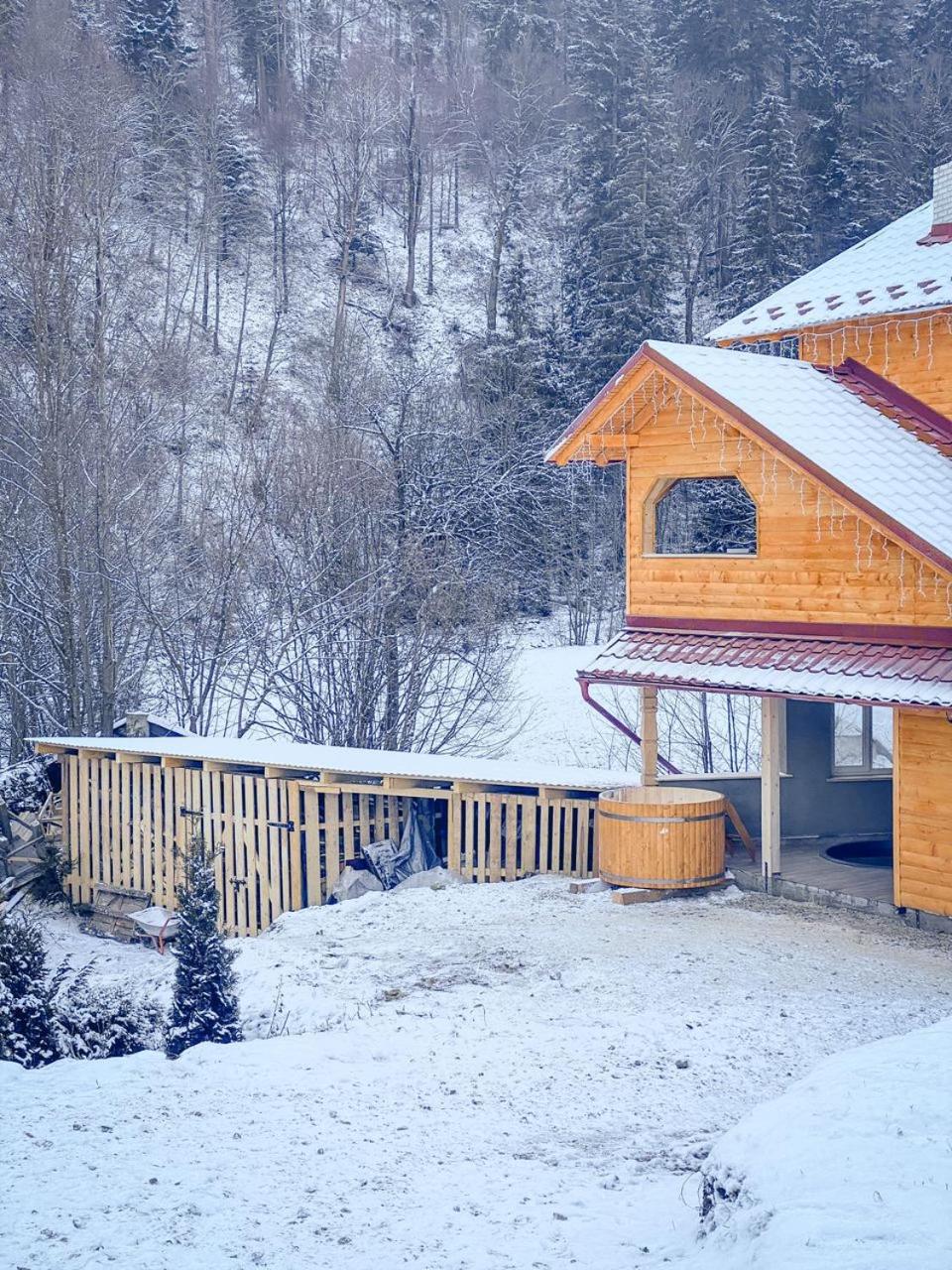 Villa Ladna Tatariv Bukovel view 5