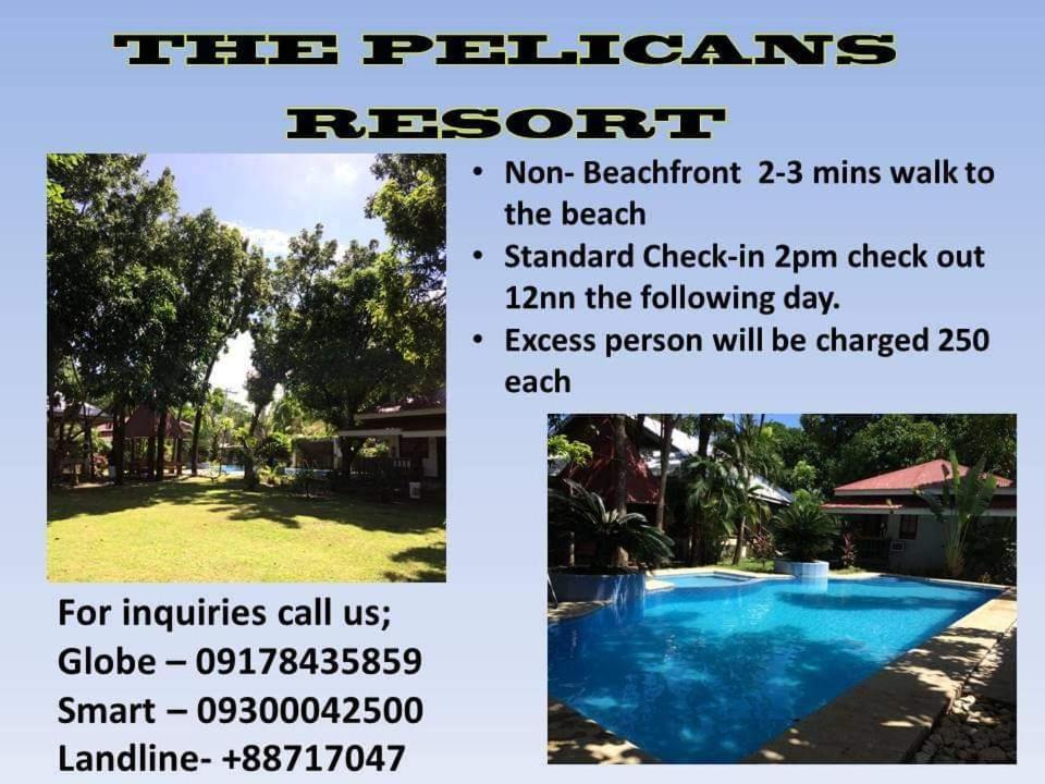 The Pelicans Resort, Matabungkay - 23