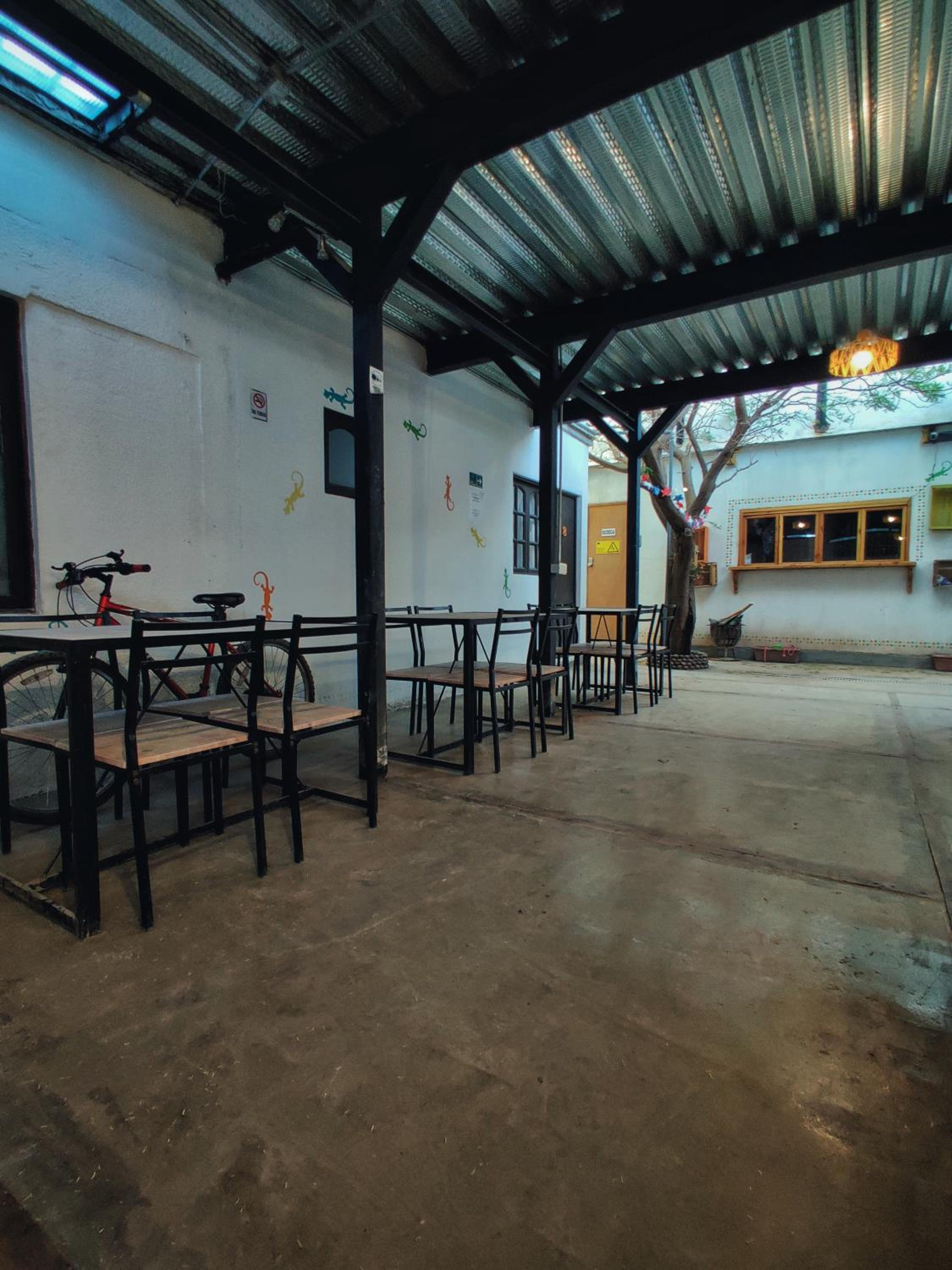Rey Lagarto Hostel