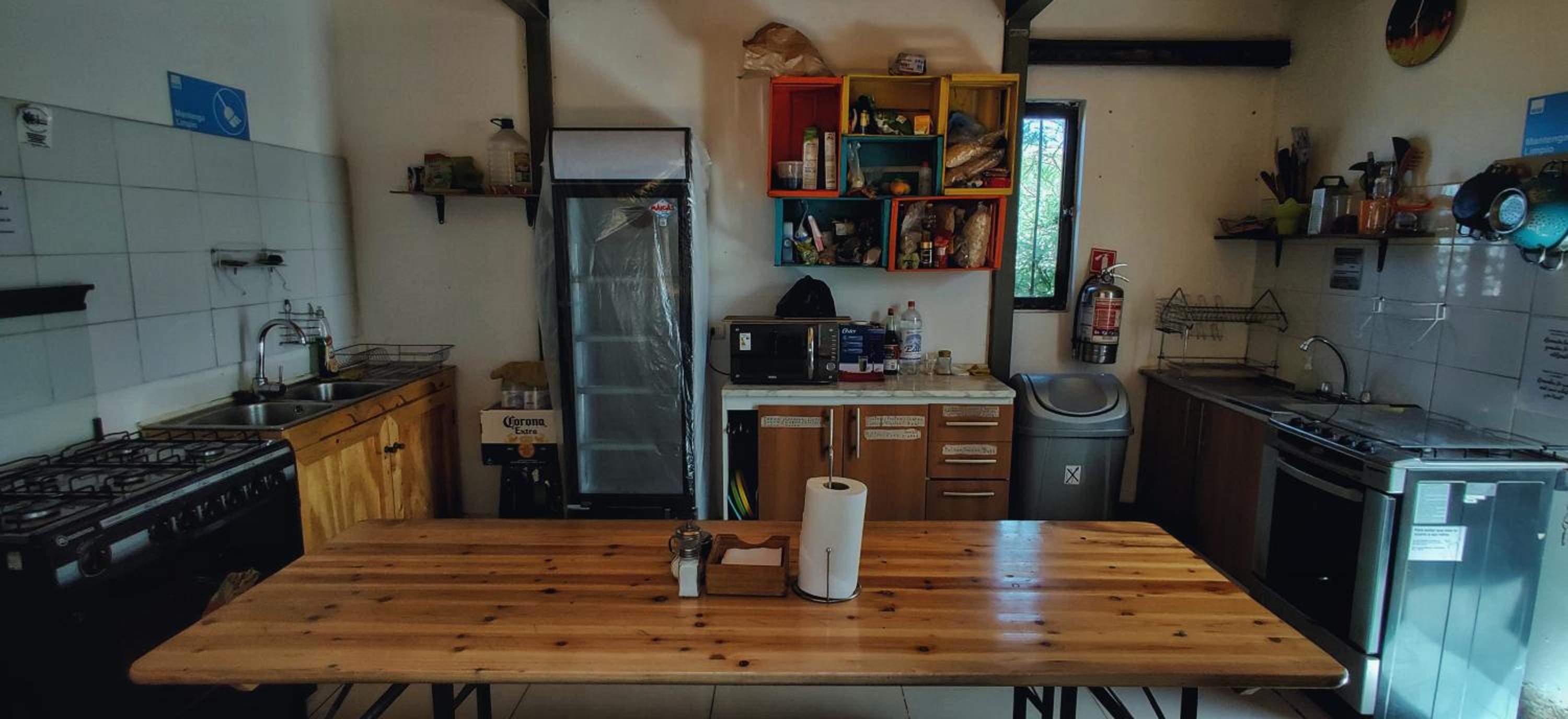 Rey Lagarto Hostel