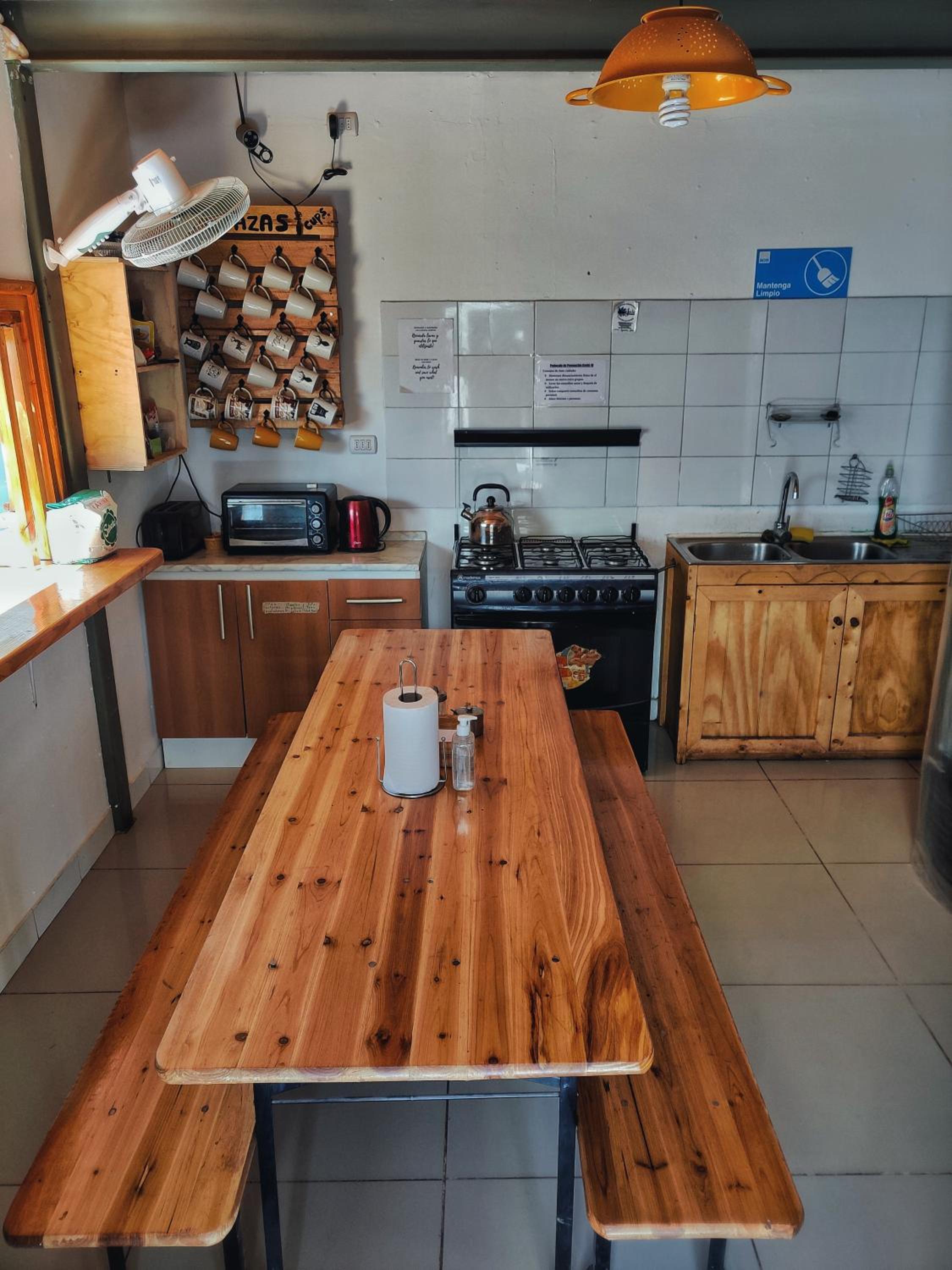 Rey Lagarto Hostel