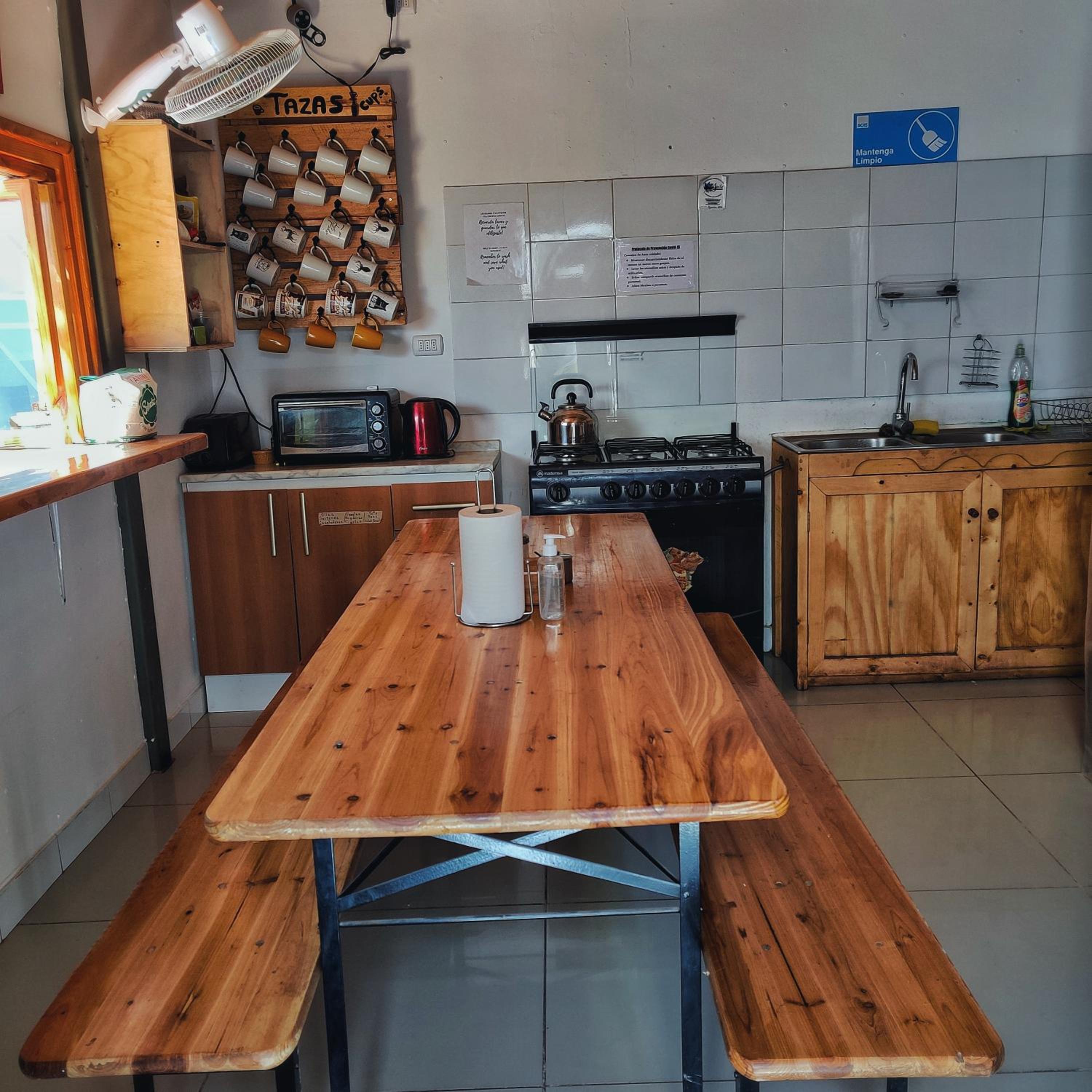 Rey Lagarto Hostel