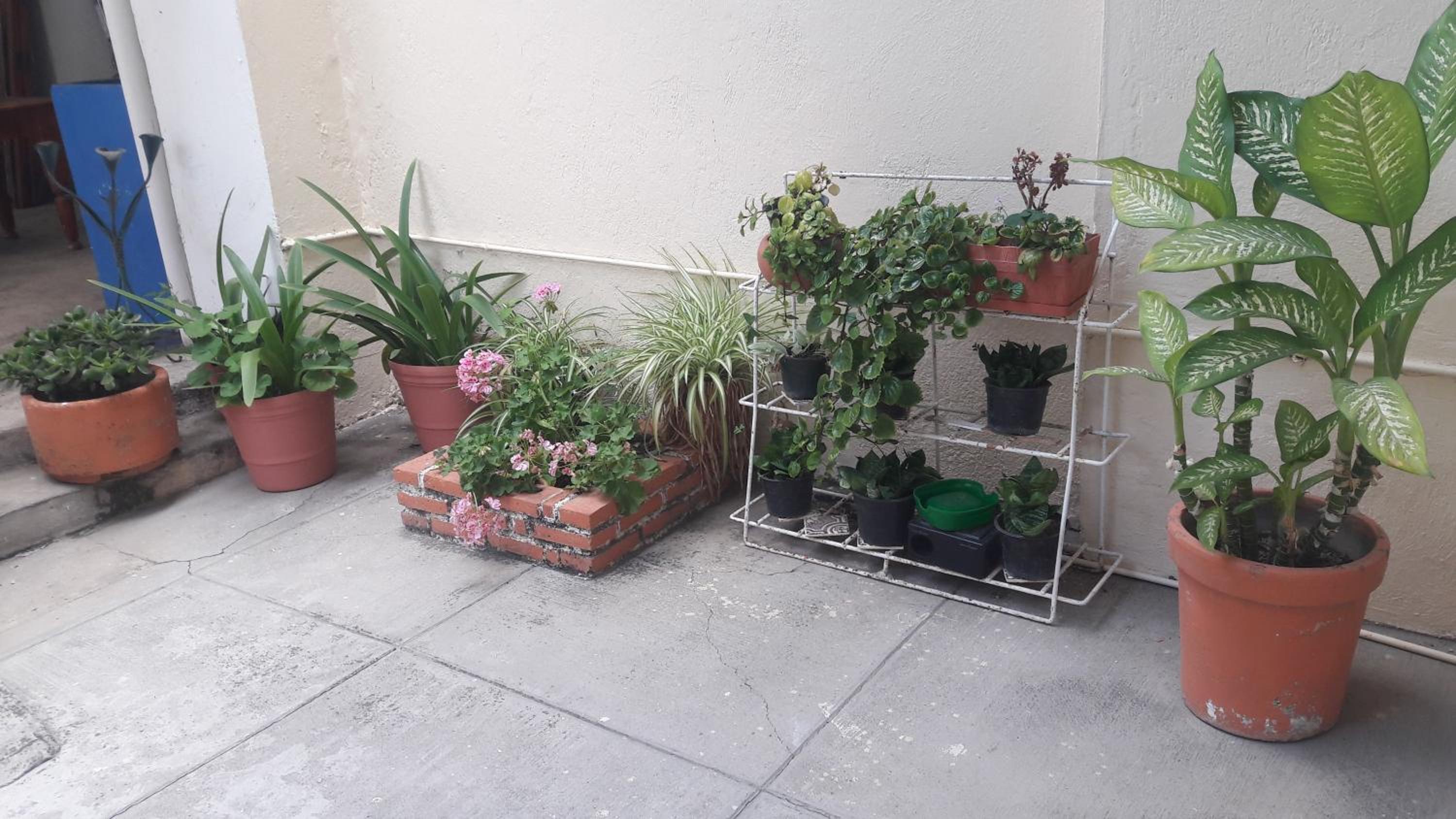 Photo 43