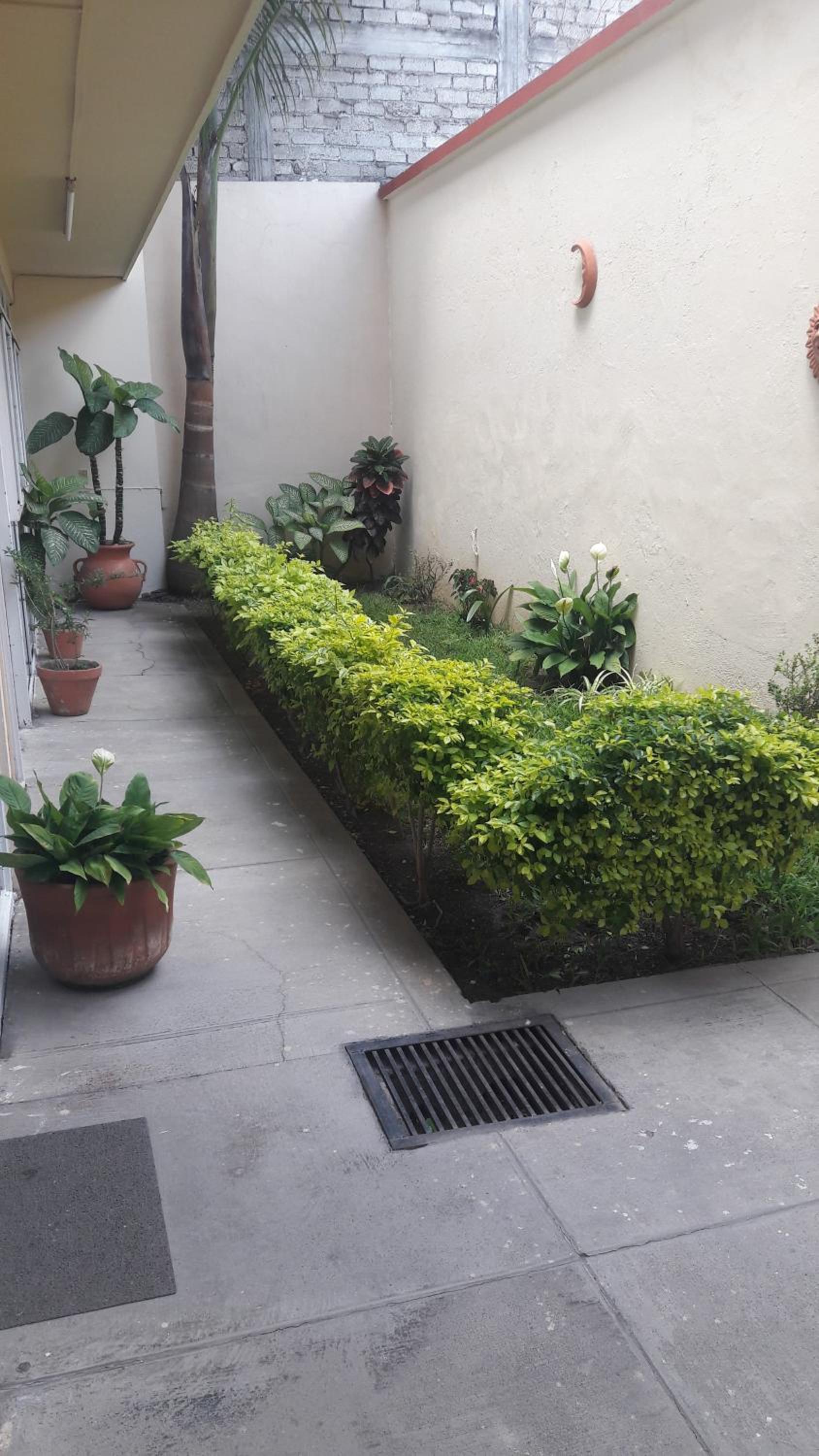 Photo 42