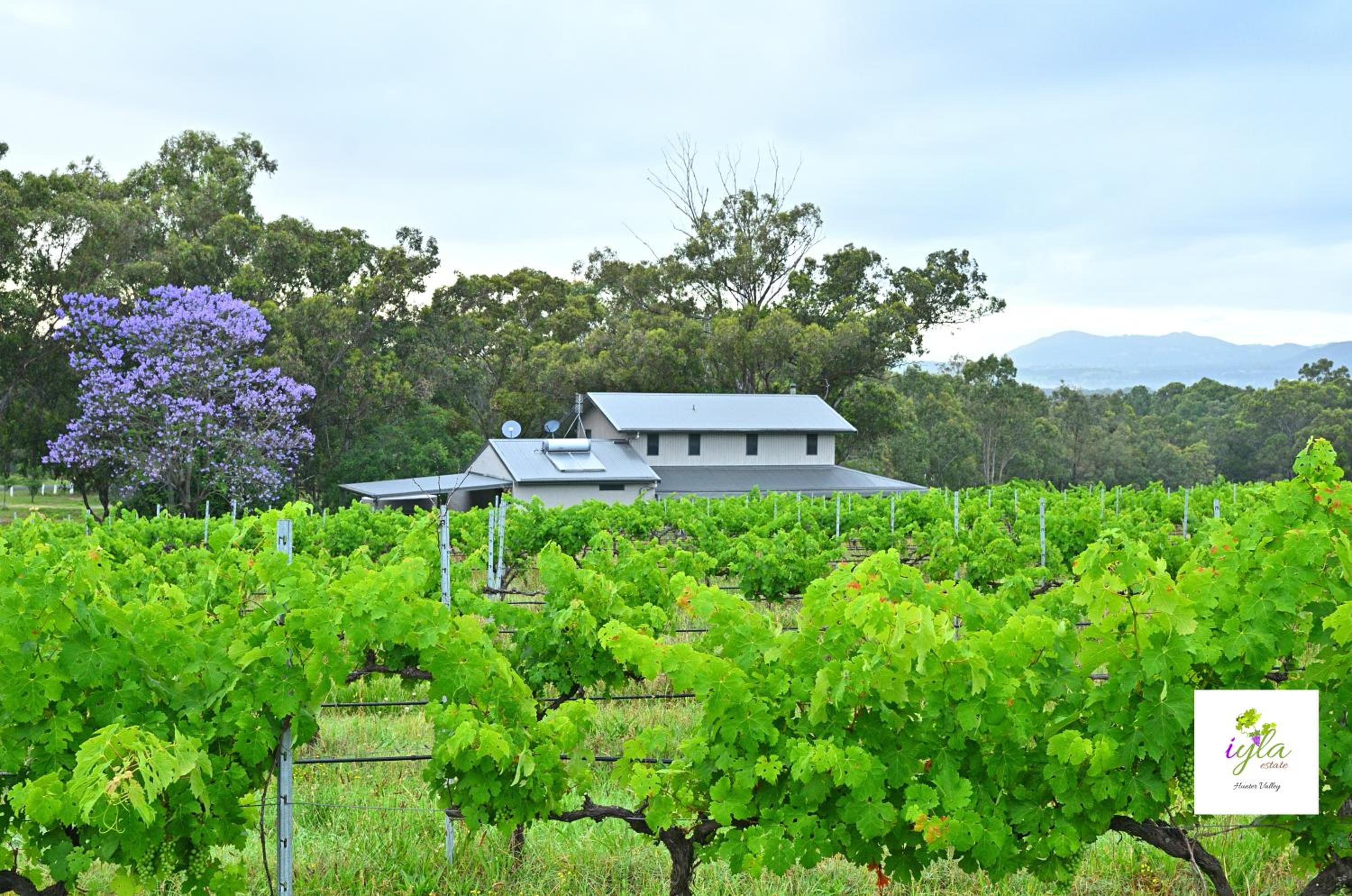 iyla Estate