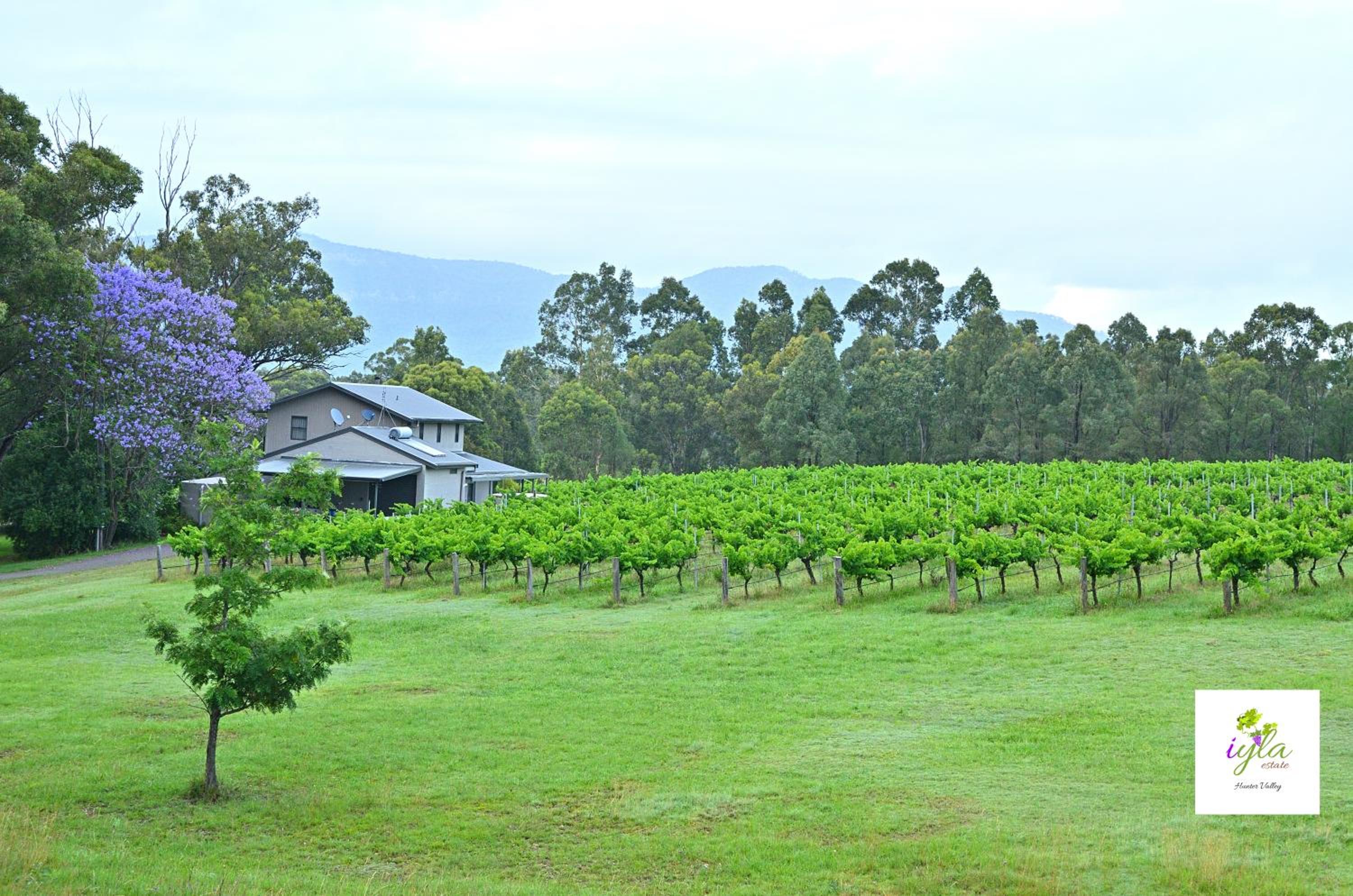 iyla Estate