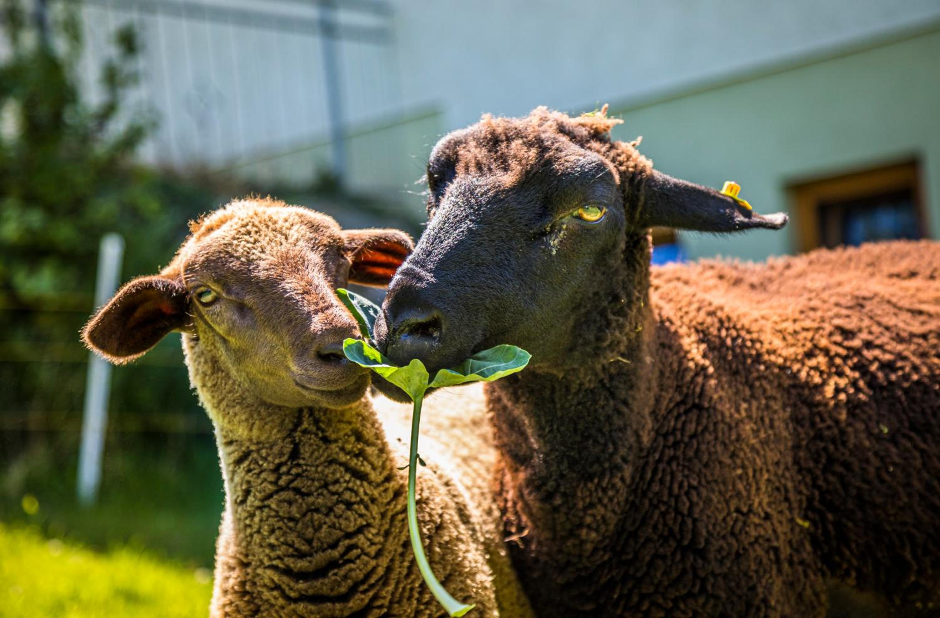 Photo 24