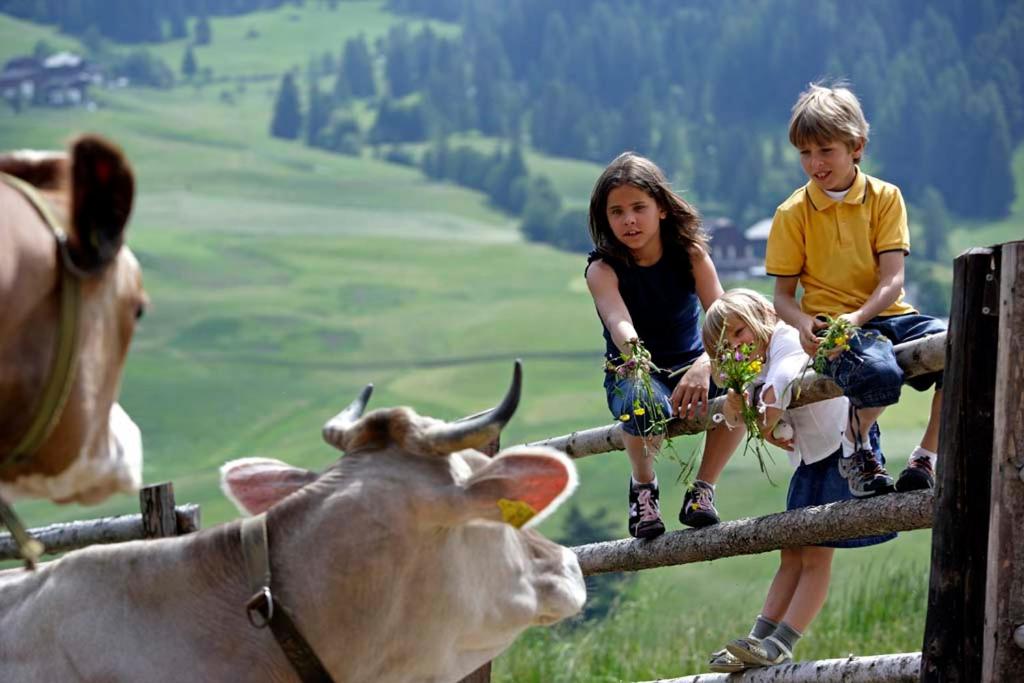 Lechnerhof view 4