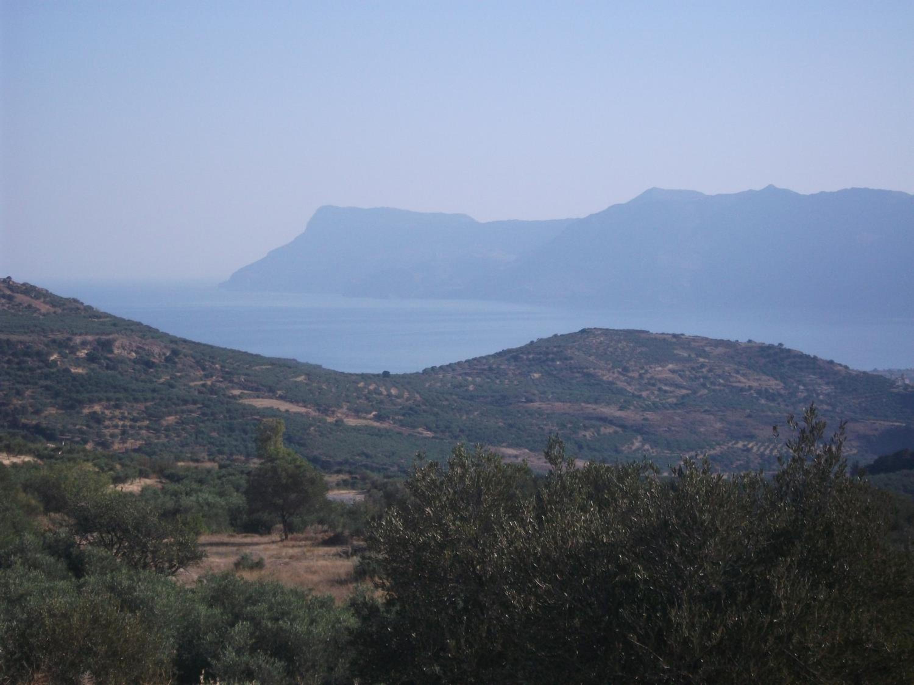 Photo 40