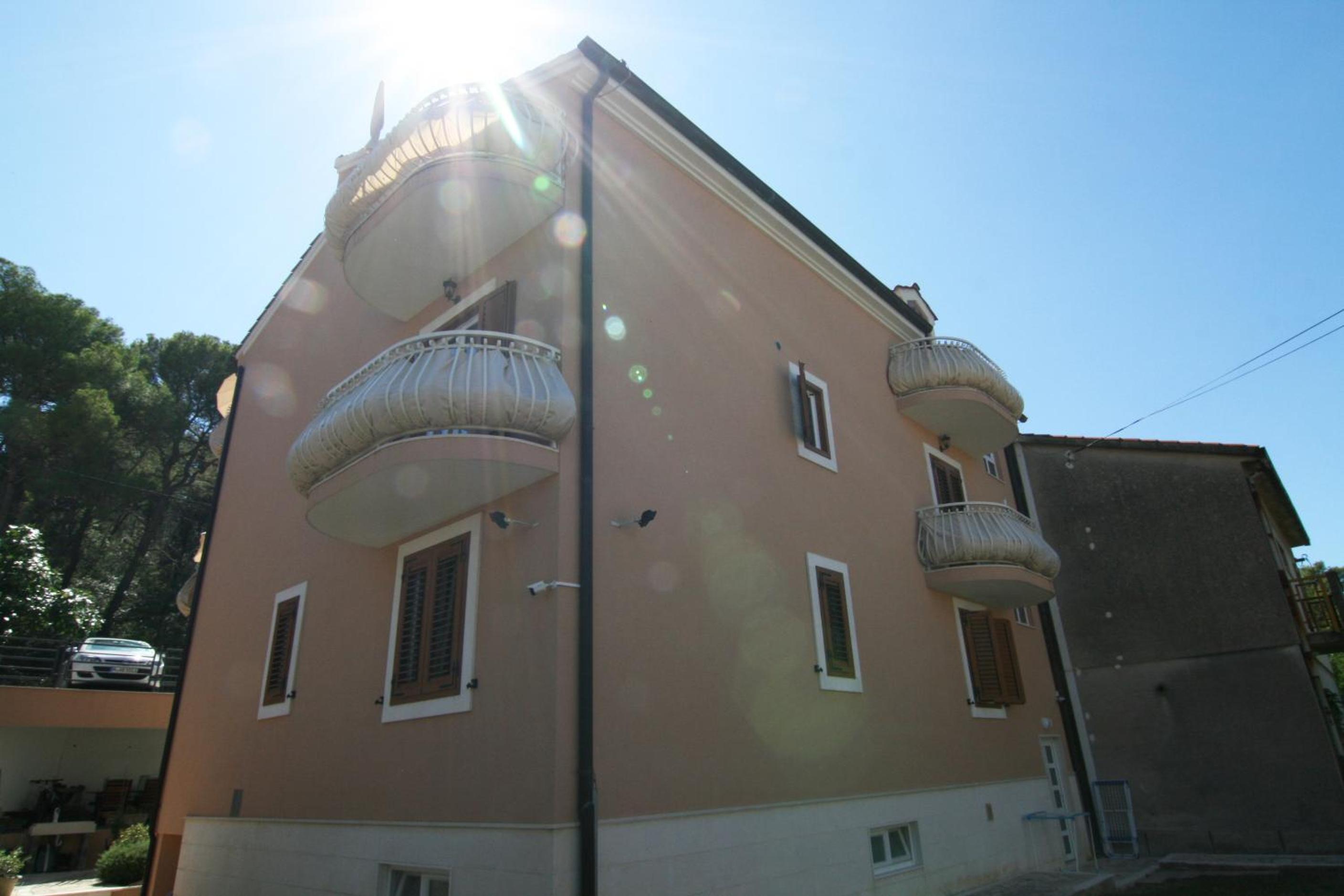 Photo 45