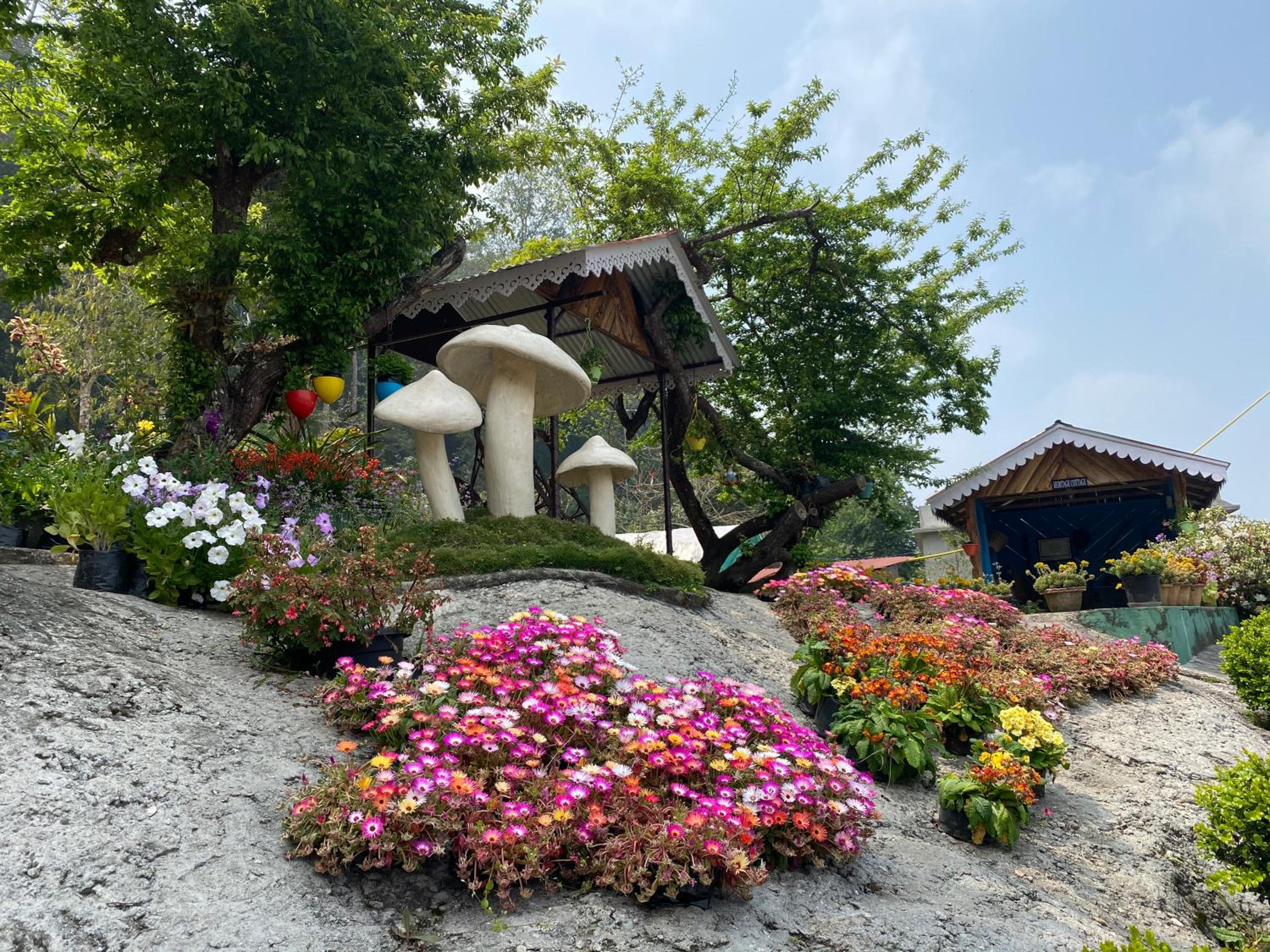 Photo 19