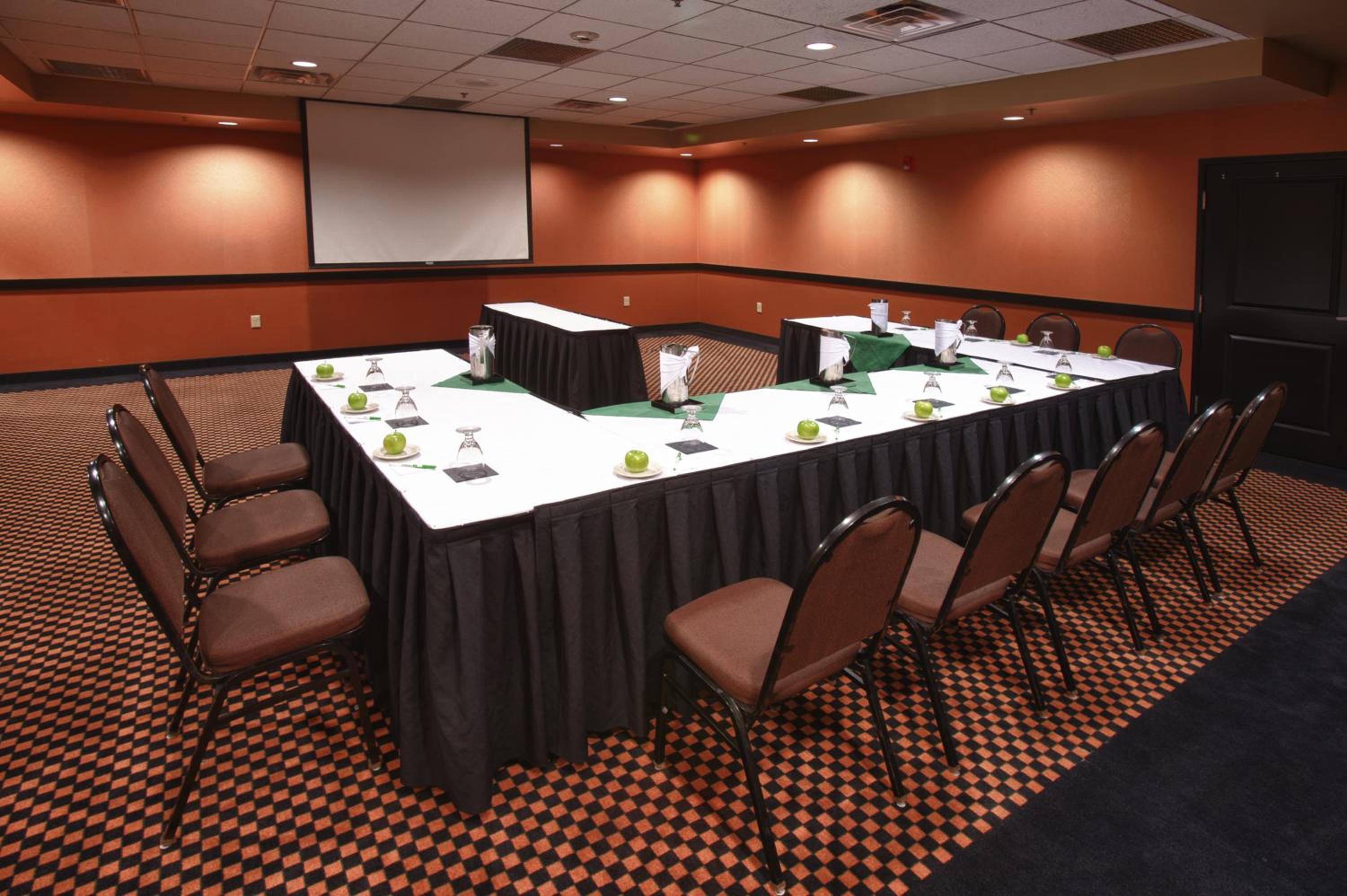 Holiday Inn St. Paul Northeast - Lake Elmo, an IHG Hotel - Property Image 81