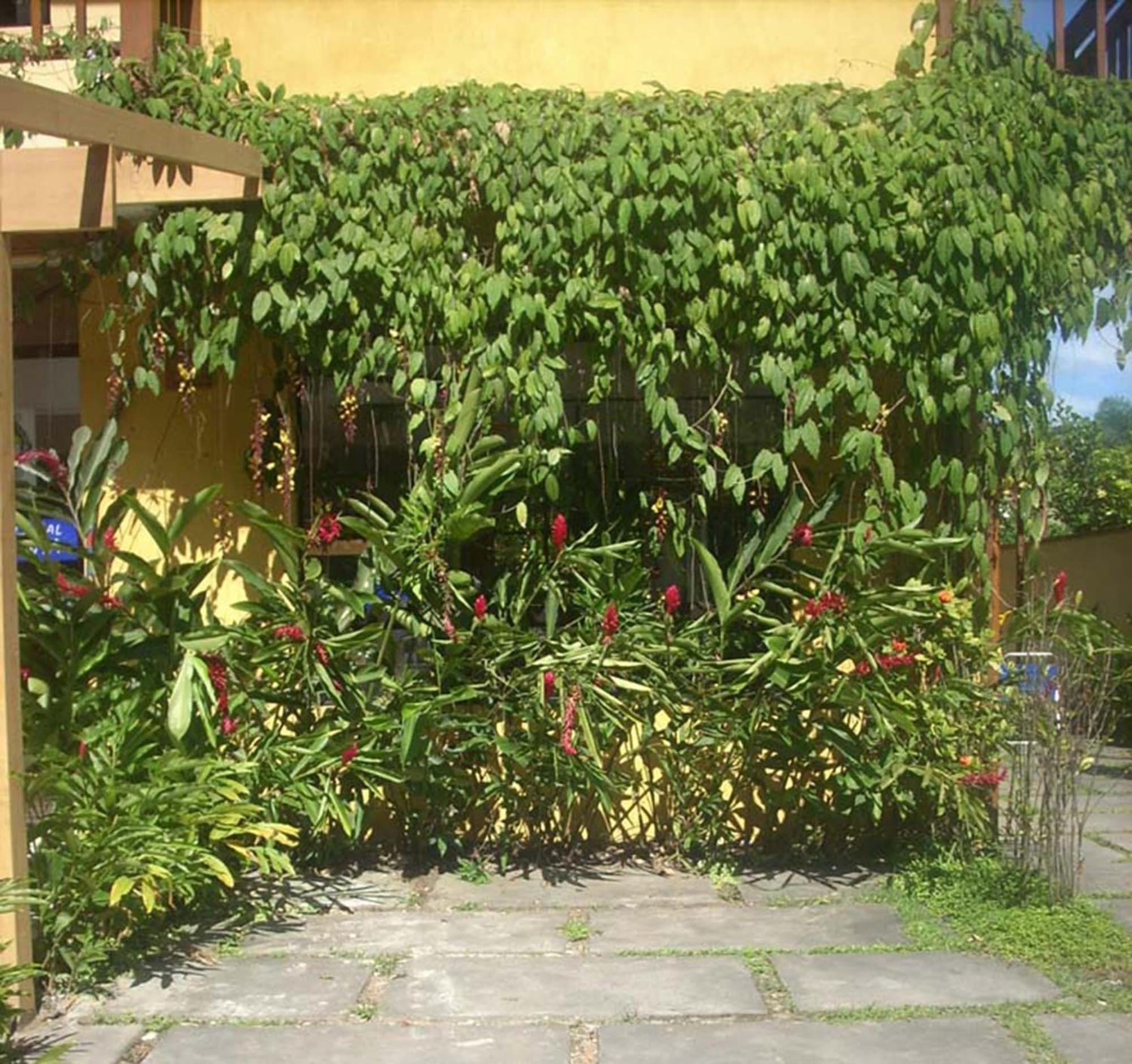 Casa Canto Juqueí