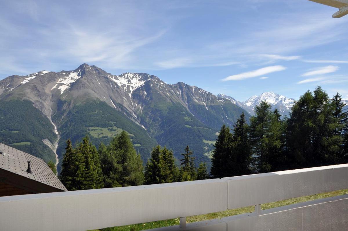 Alpenglück 51