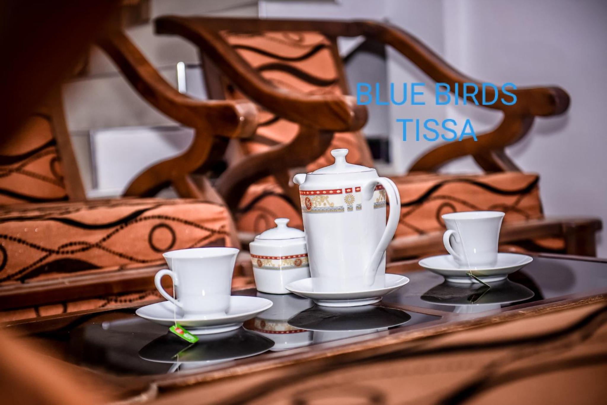 Blue Birds Tissa & Yala safari