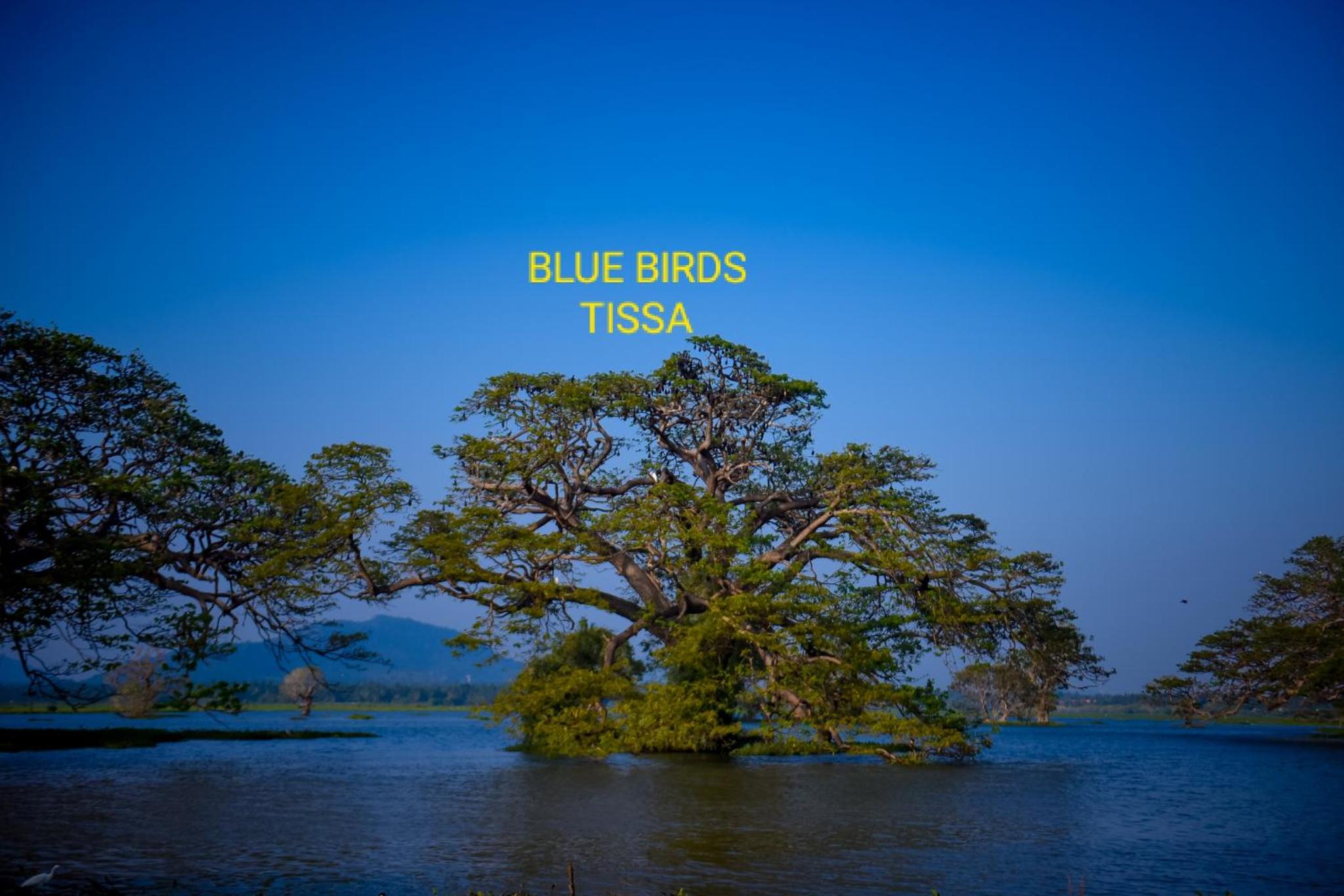 Blue Birds Tissa & Yala safari