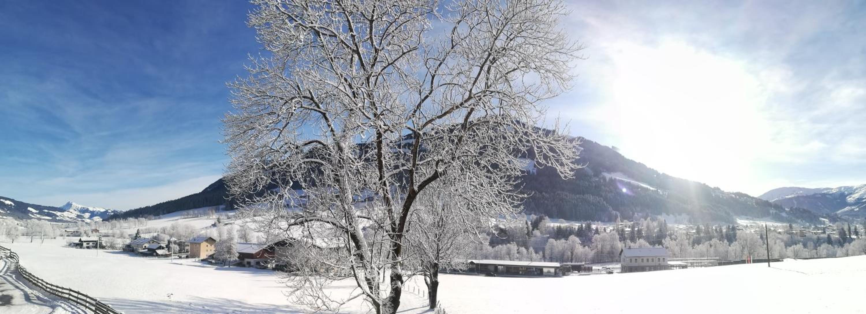 Appartement Sonnentraum