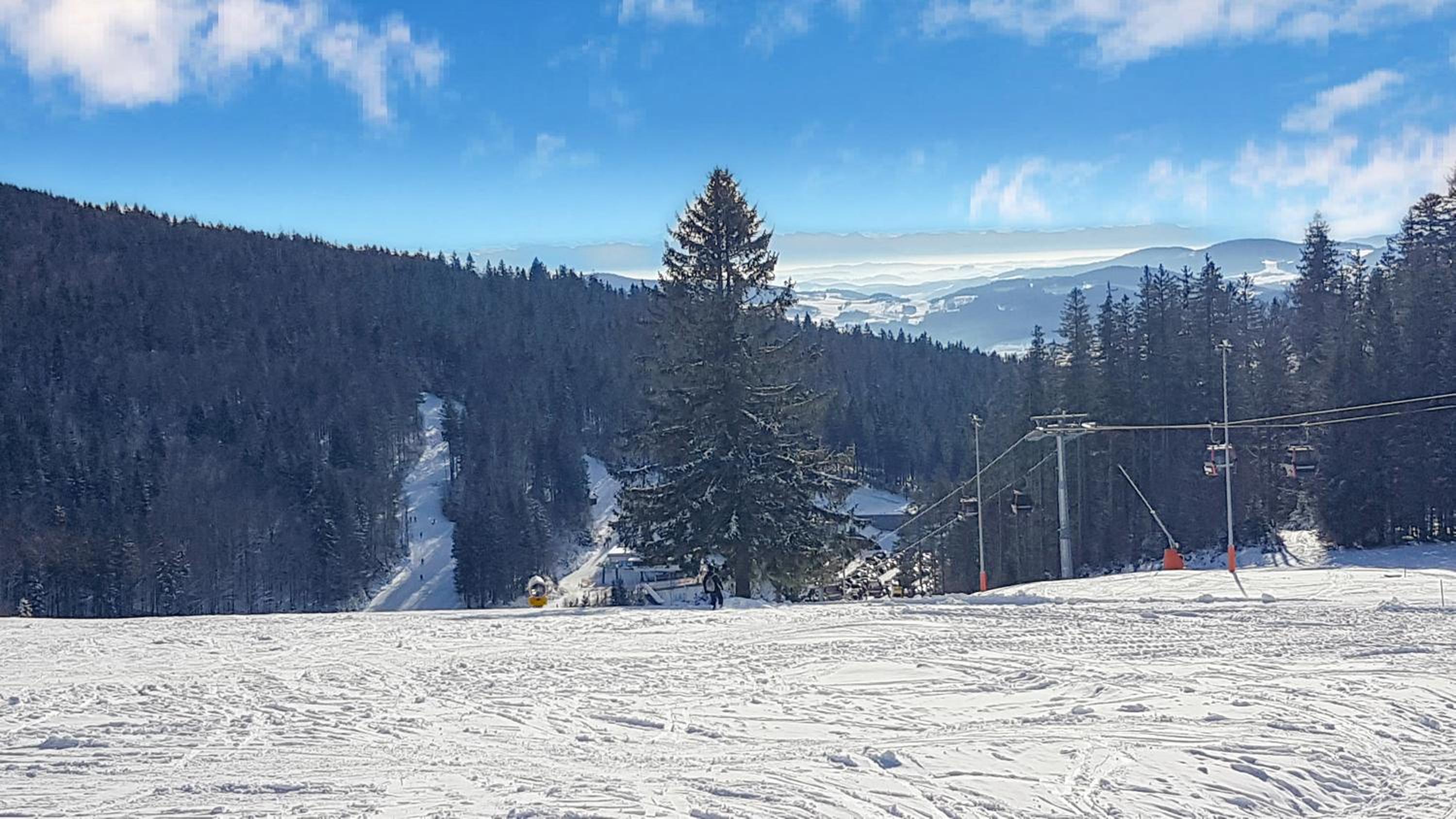 Chalex