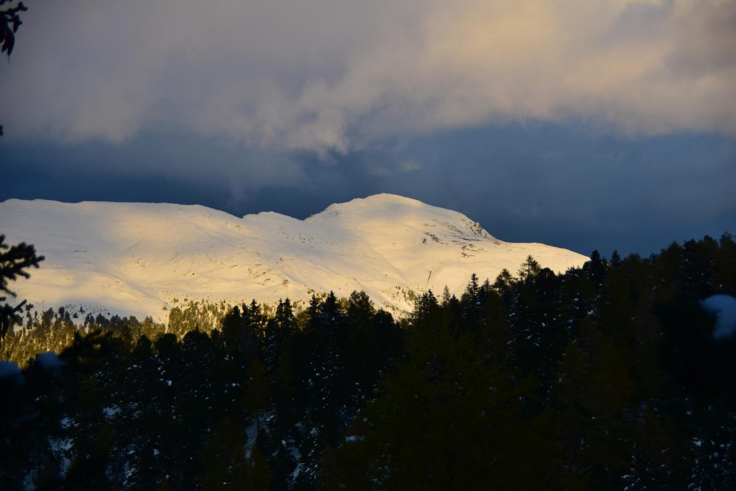 ALPENFLAIR Appartment mit Aussicht zum träumen