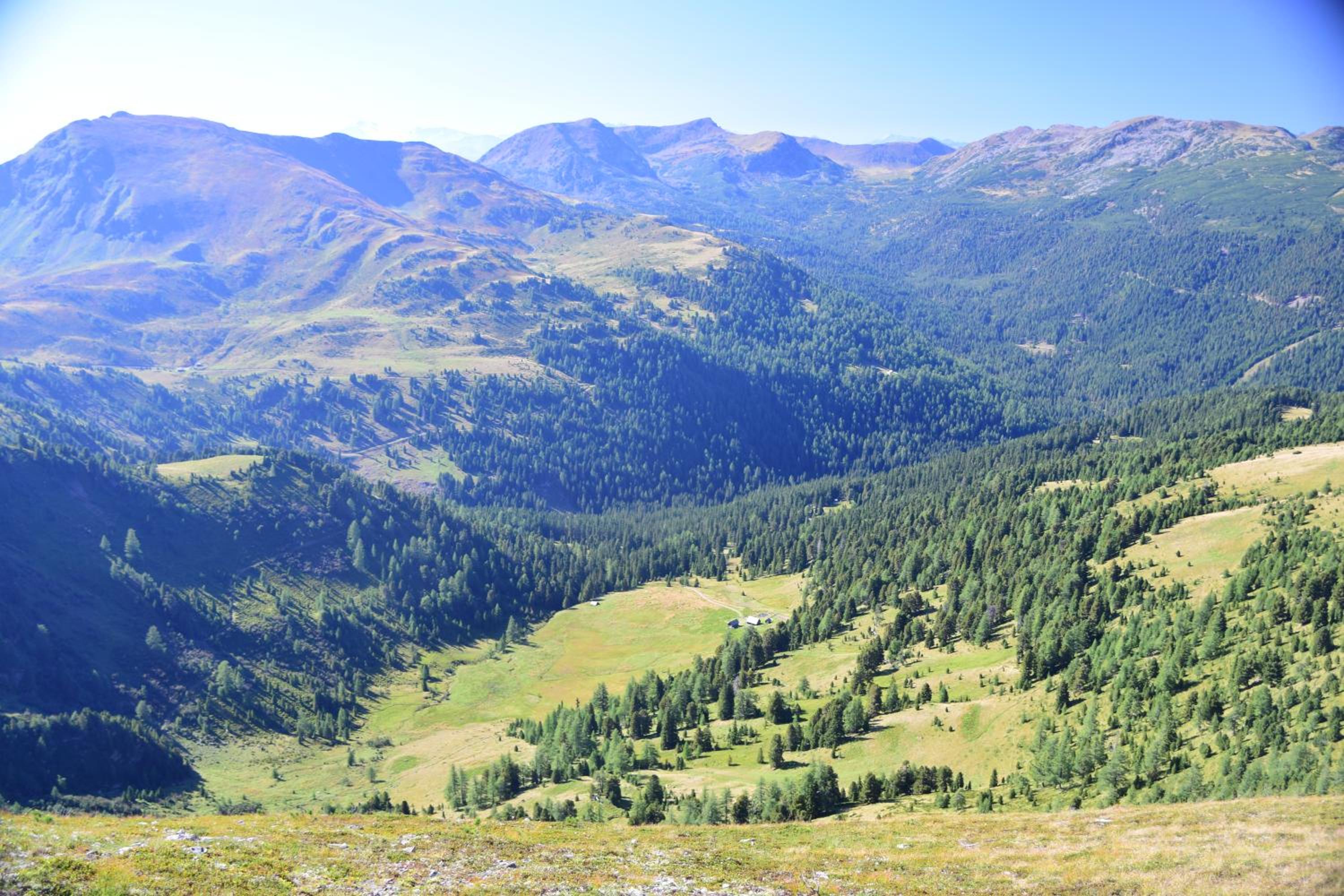 ALPENFLAIR Appartment mit Aussicht zum träumen