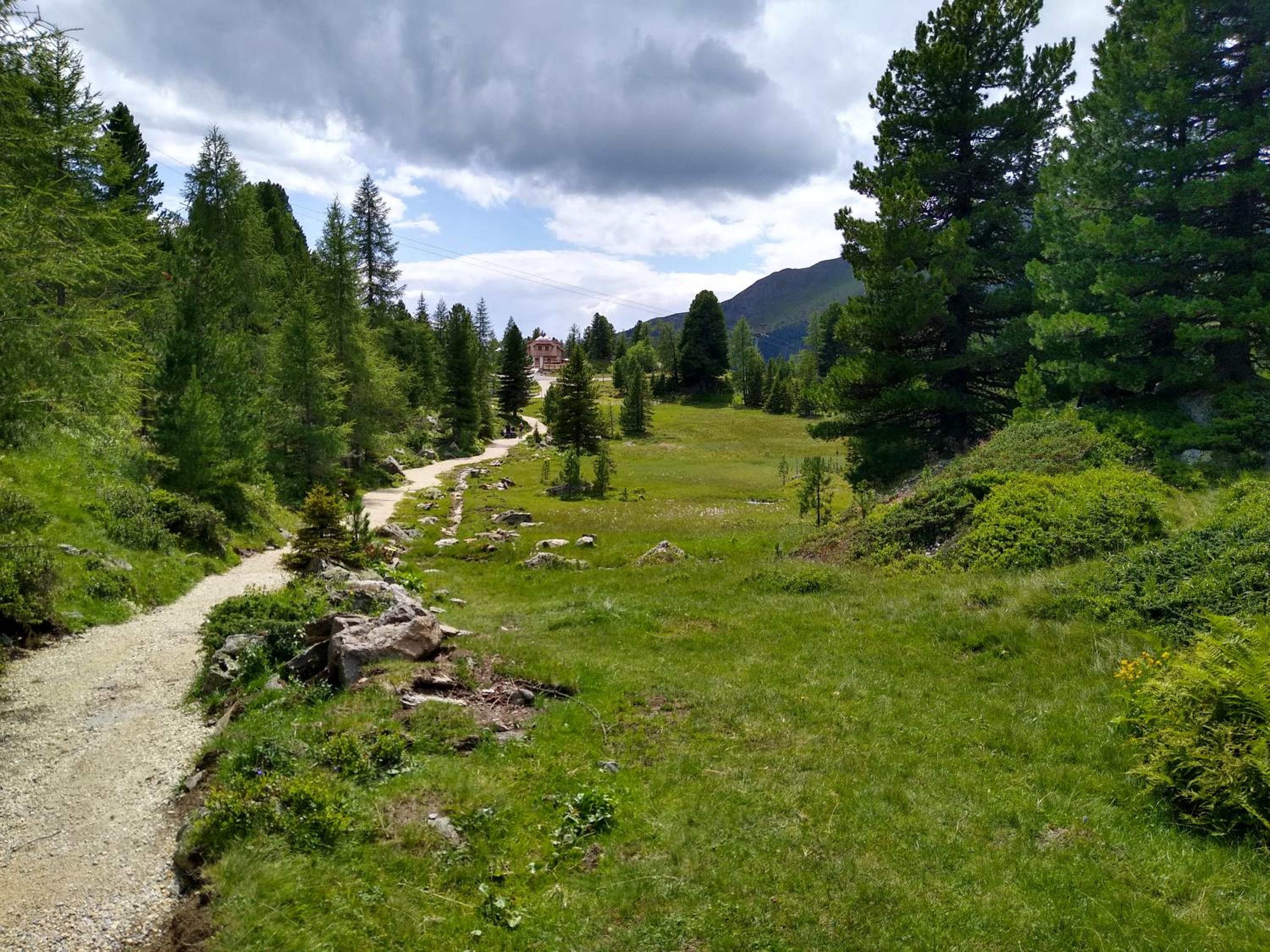 ALPENFLAIR Appartment mit Aussicht zum träumen