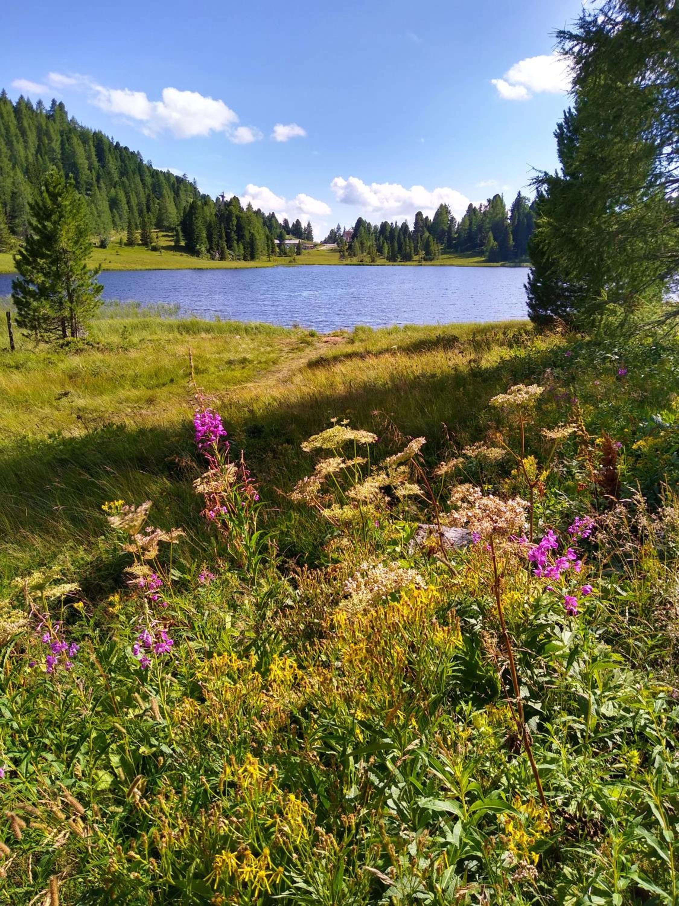 ALPENFLAIR Appartment mit Aussicht zum träumen