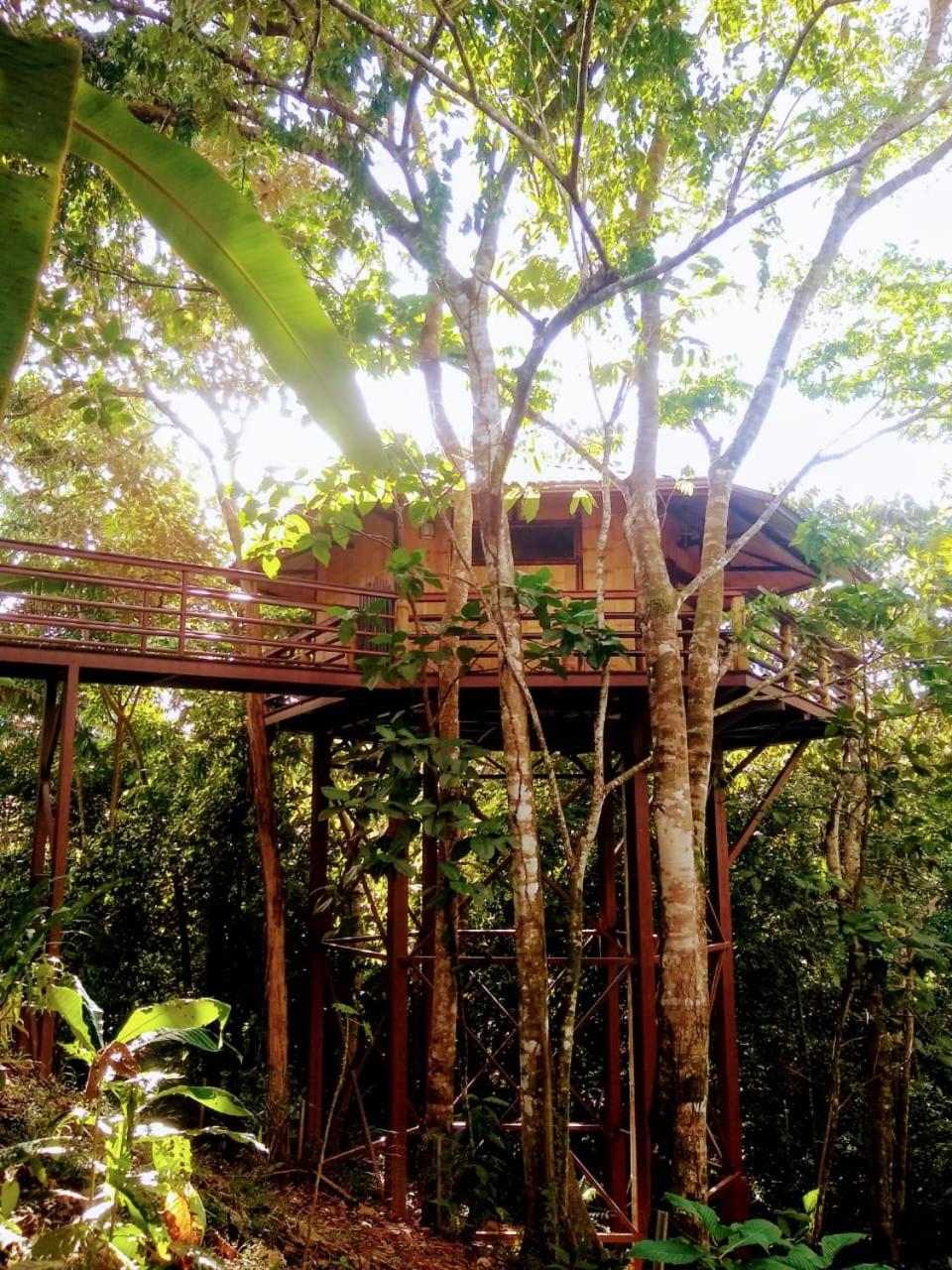 TREEHOUSE PILON PAVONES
