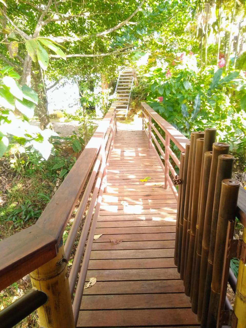 TREEHOUSE PILON PAVONES