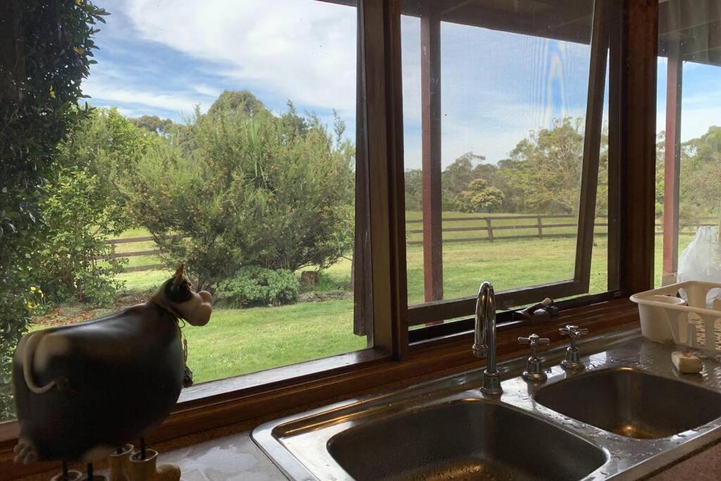 Willunga Cottage — Sweet Country Retreat