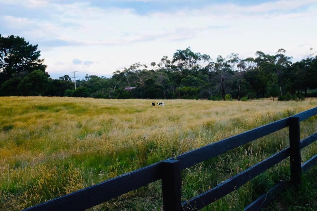 Willunga Cottage — Sweet Country Retreat