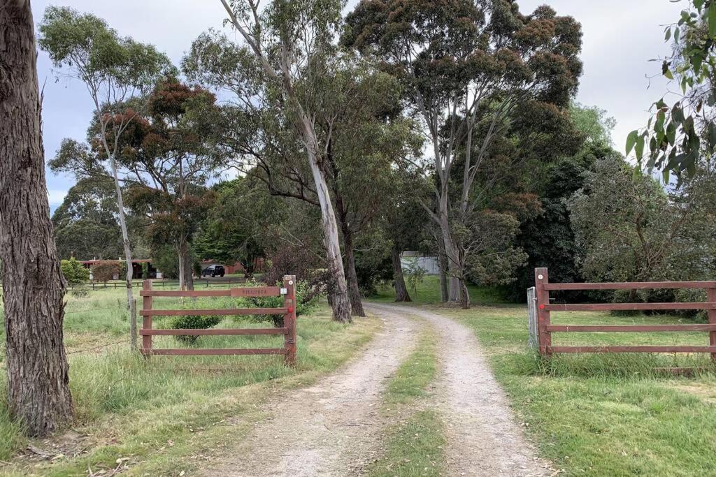 Willunga Cottage — Sweet Country Retreat