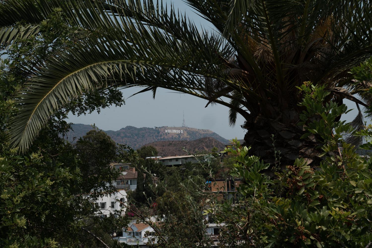 Hollywood Hills Hotel, Foto 29