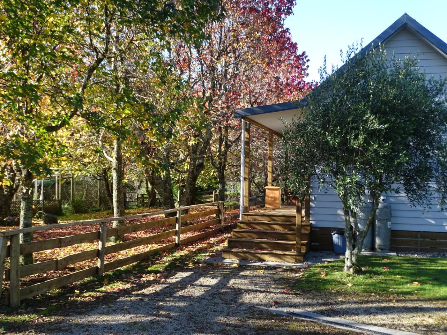 Photo 13