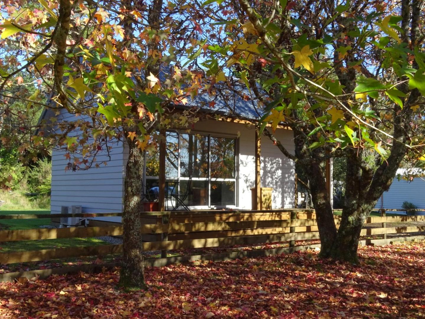 Photo 15