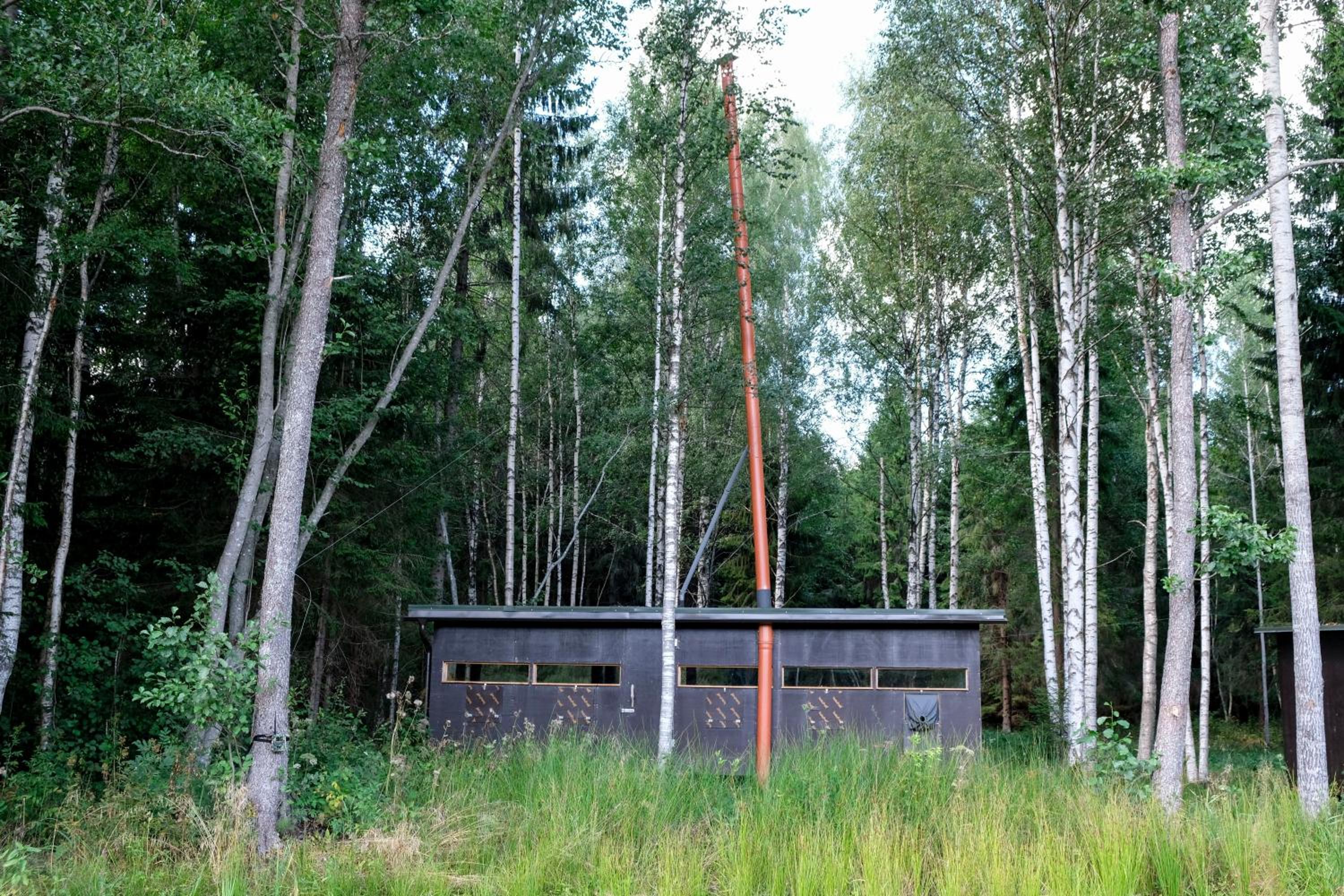 Bear Watching Hide of Alutaguse