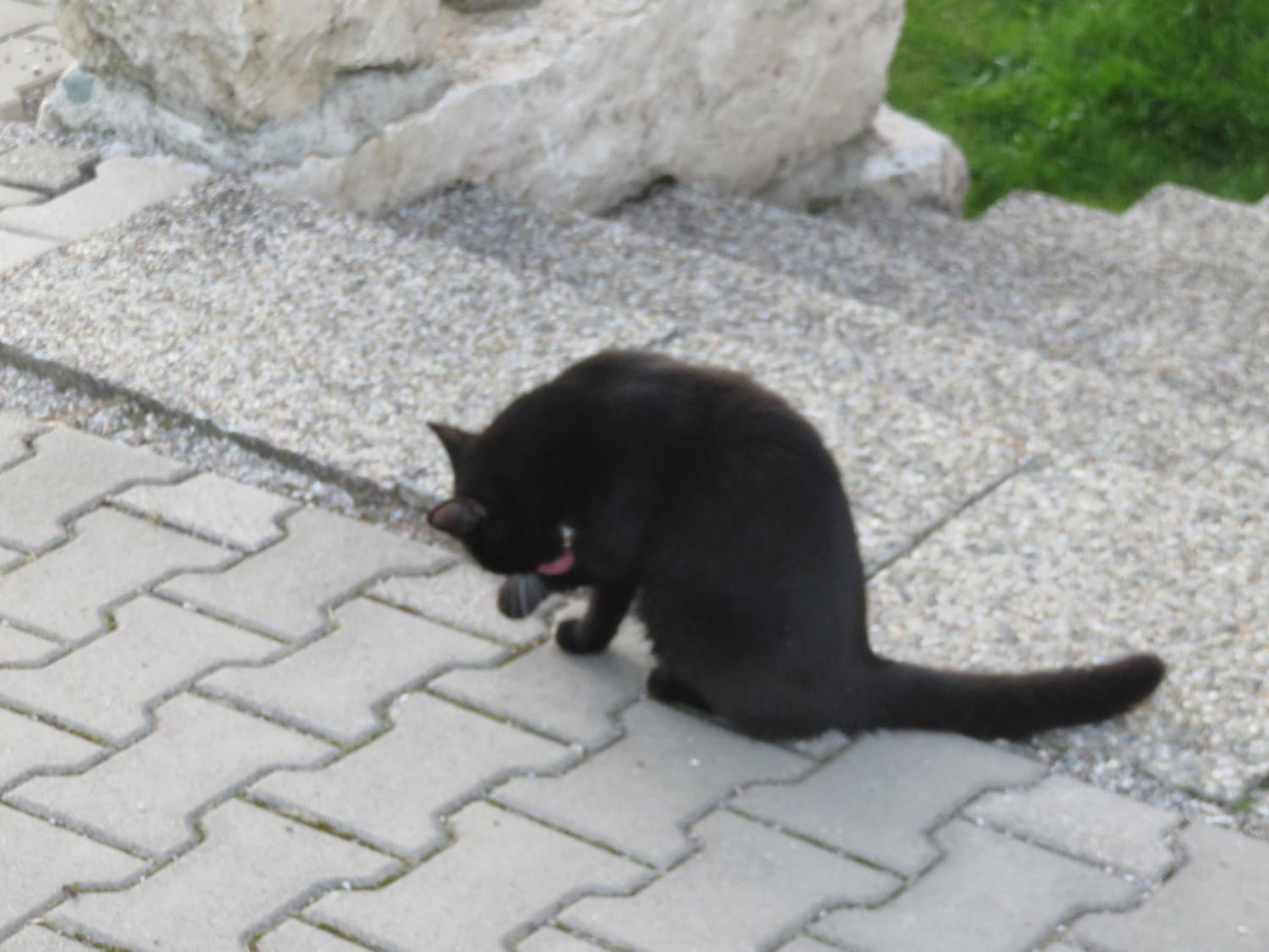 Photo 28