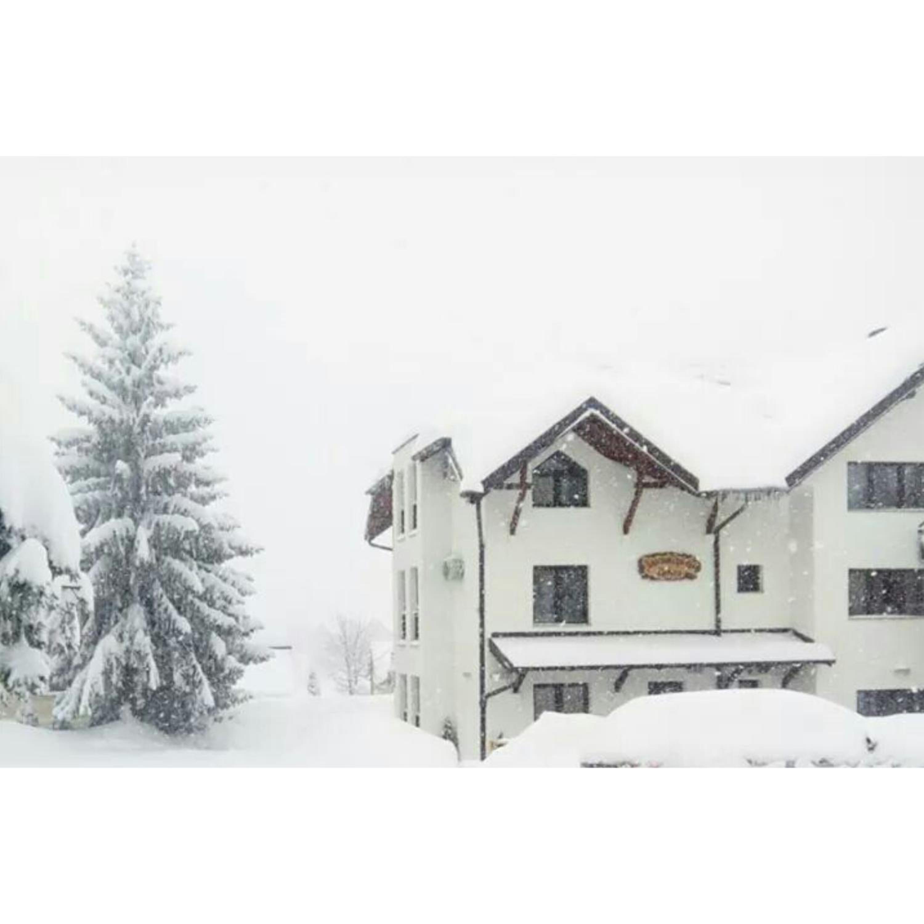 Apartman Filip-Vila Zlatiborski andjeo Zlatibor view 2
