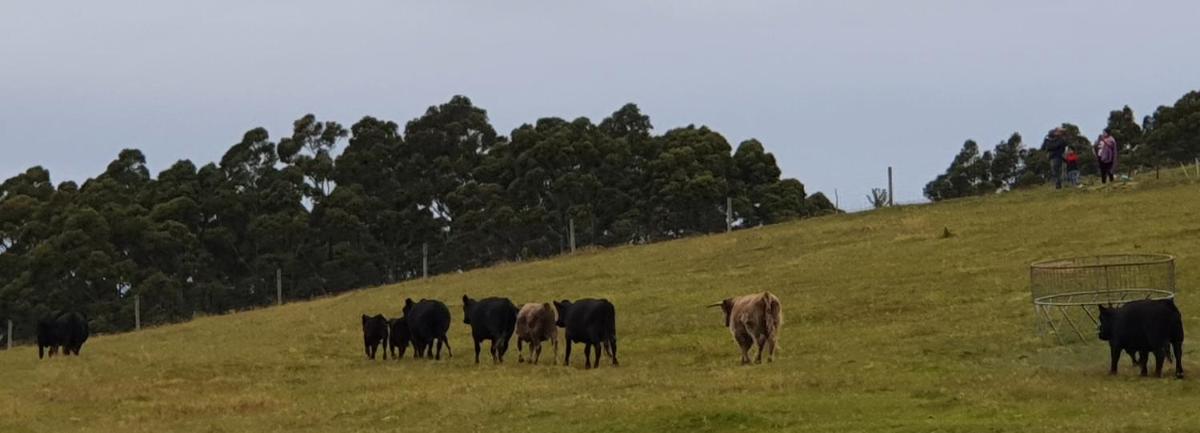 Ruby's Cottage Farm Stay