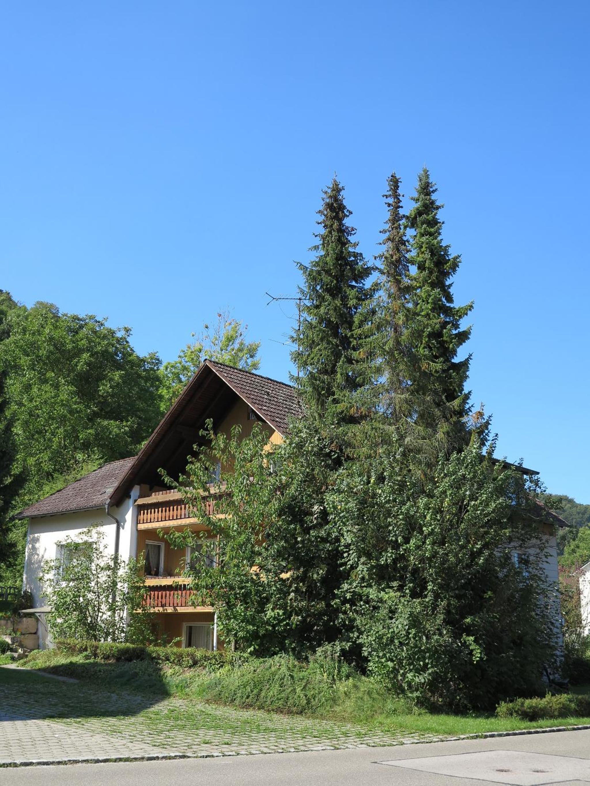 Photo 41